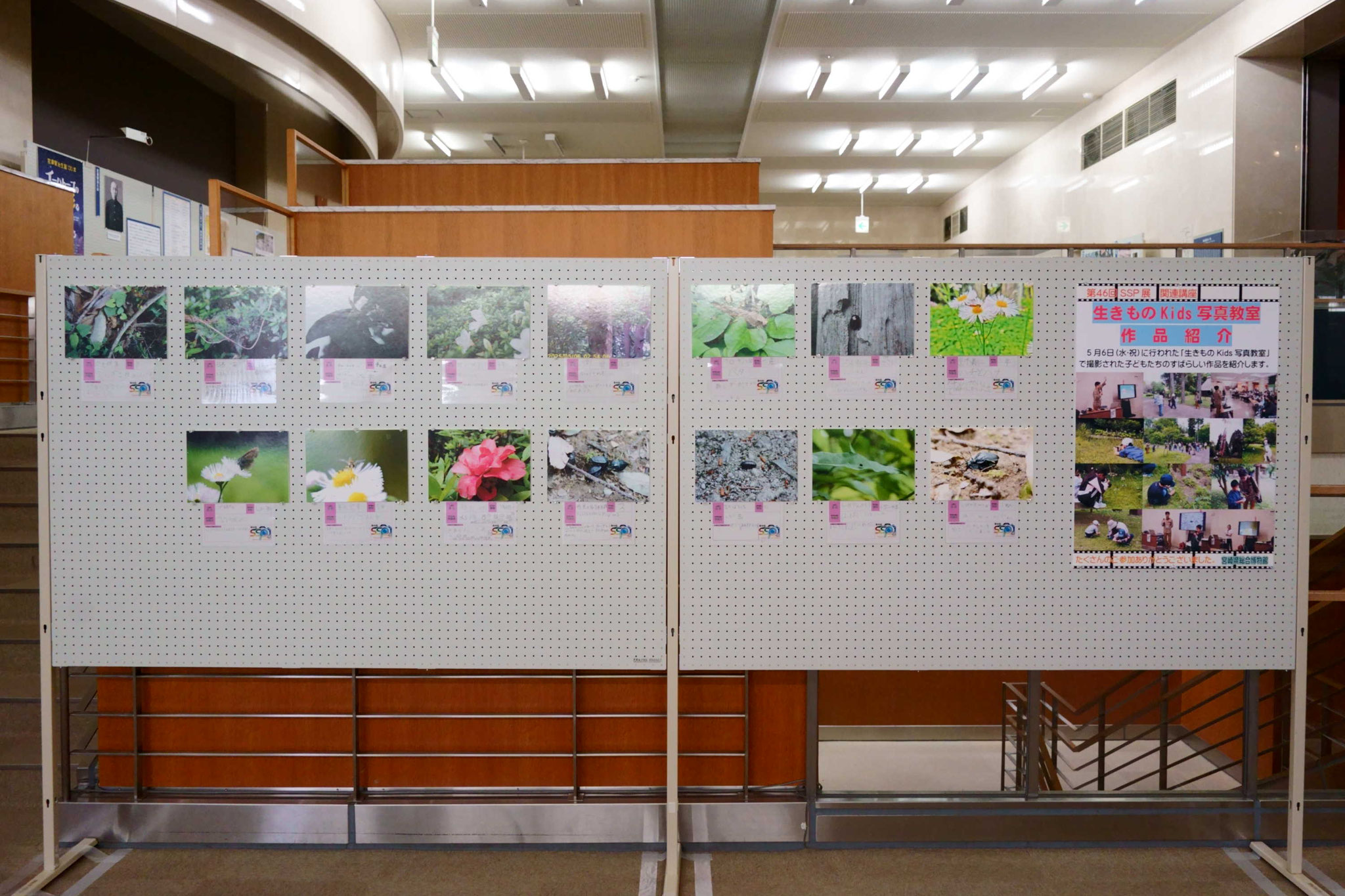 ⑲作品の展示の様子