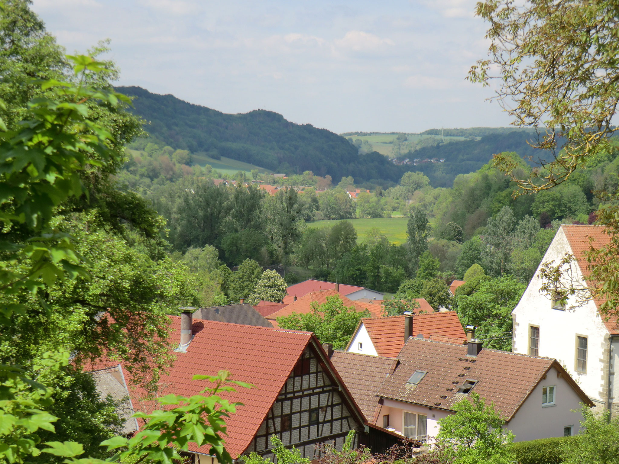 Blick über Buchenbach