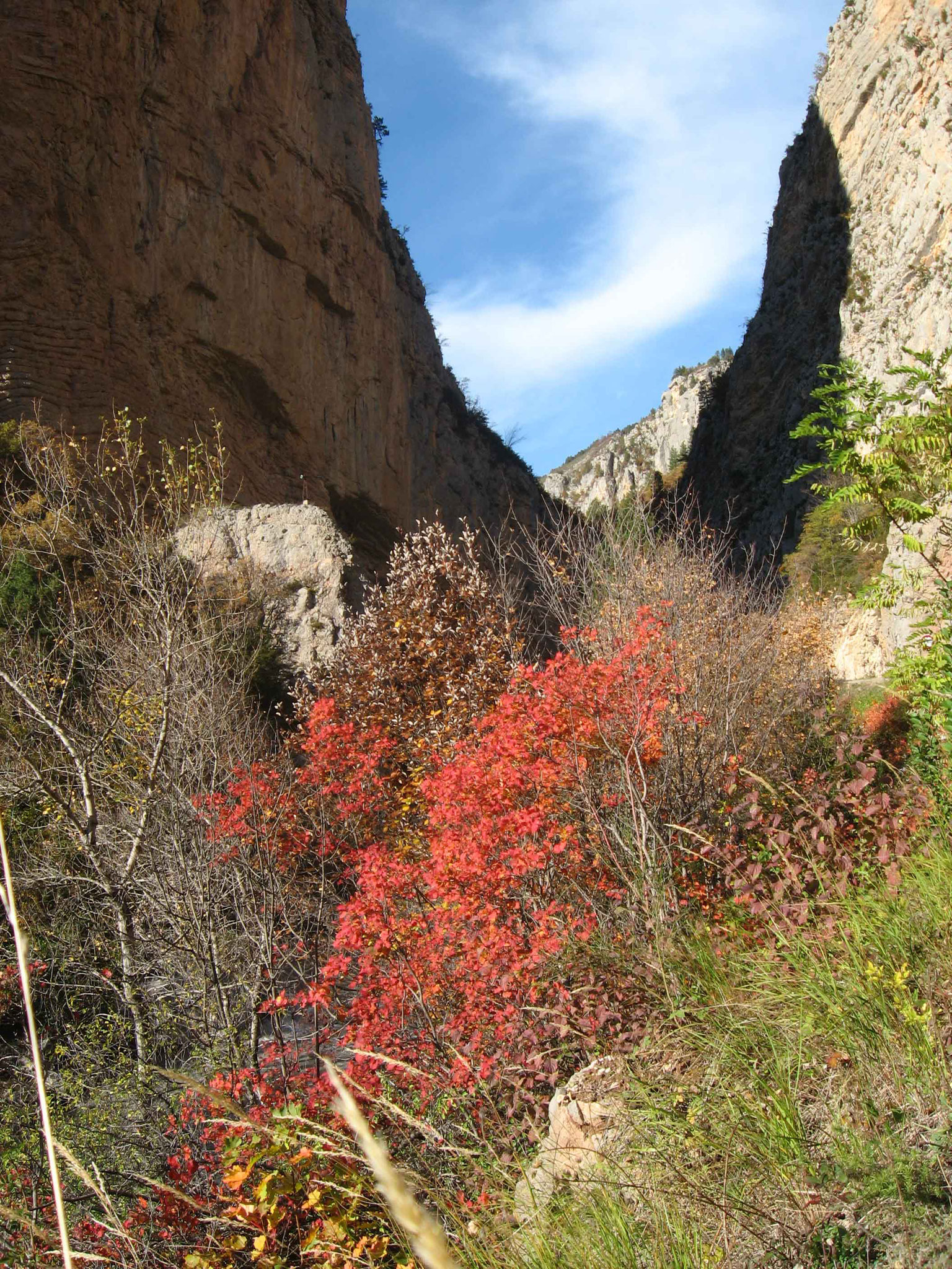 Vallée du Bès, clue du Pérouré à l'automne