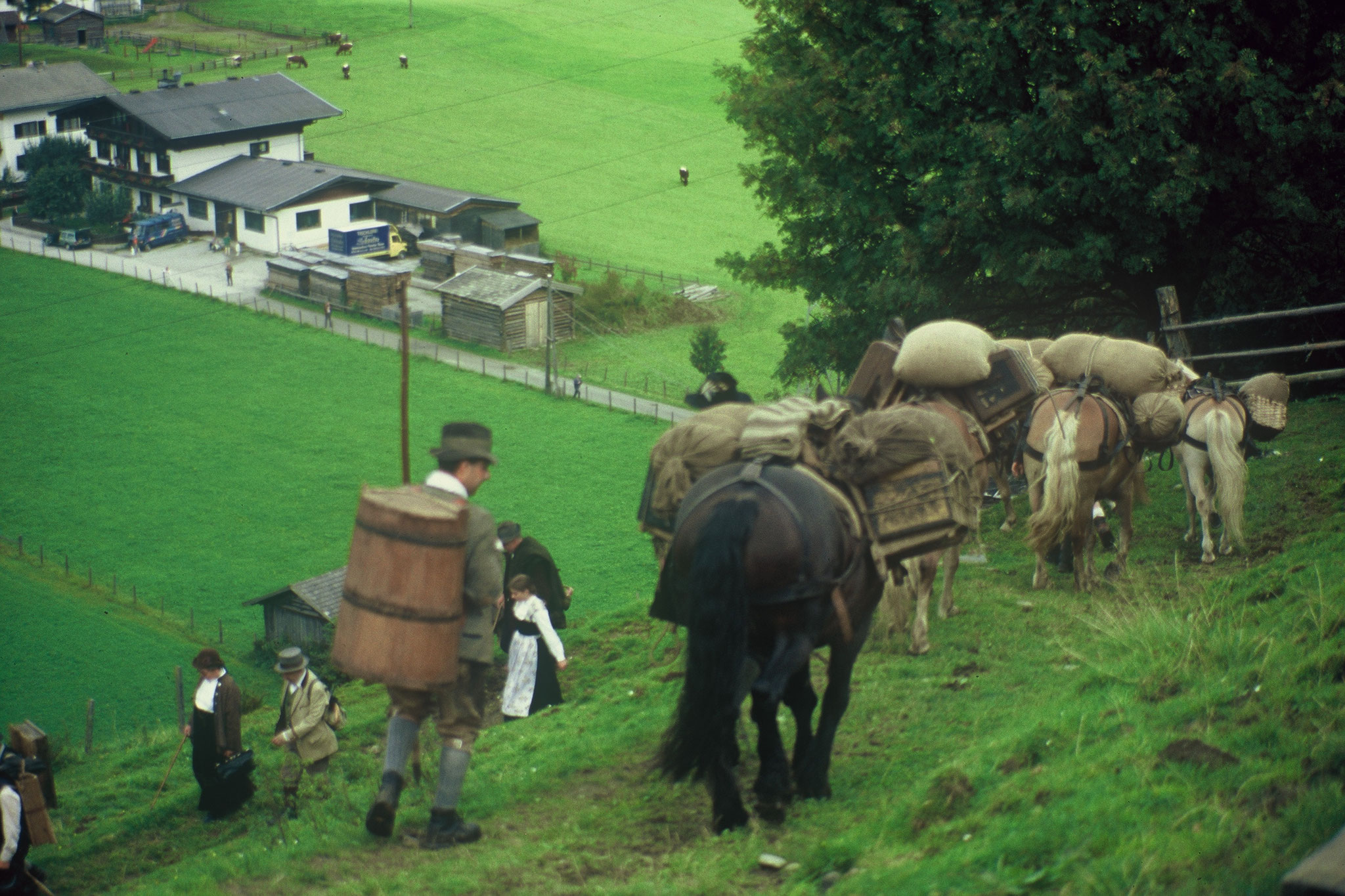 Säumer von Österreich, Bayern, SChweiz und Südtirol sind gut