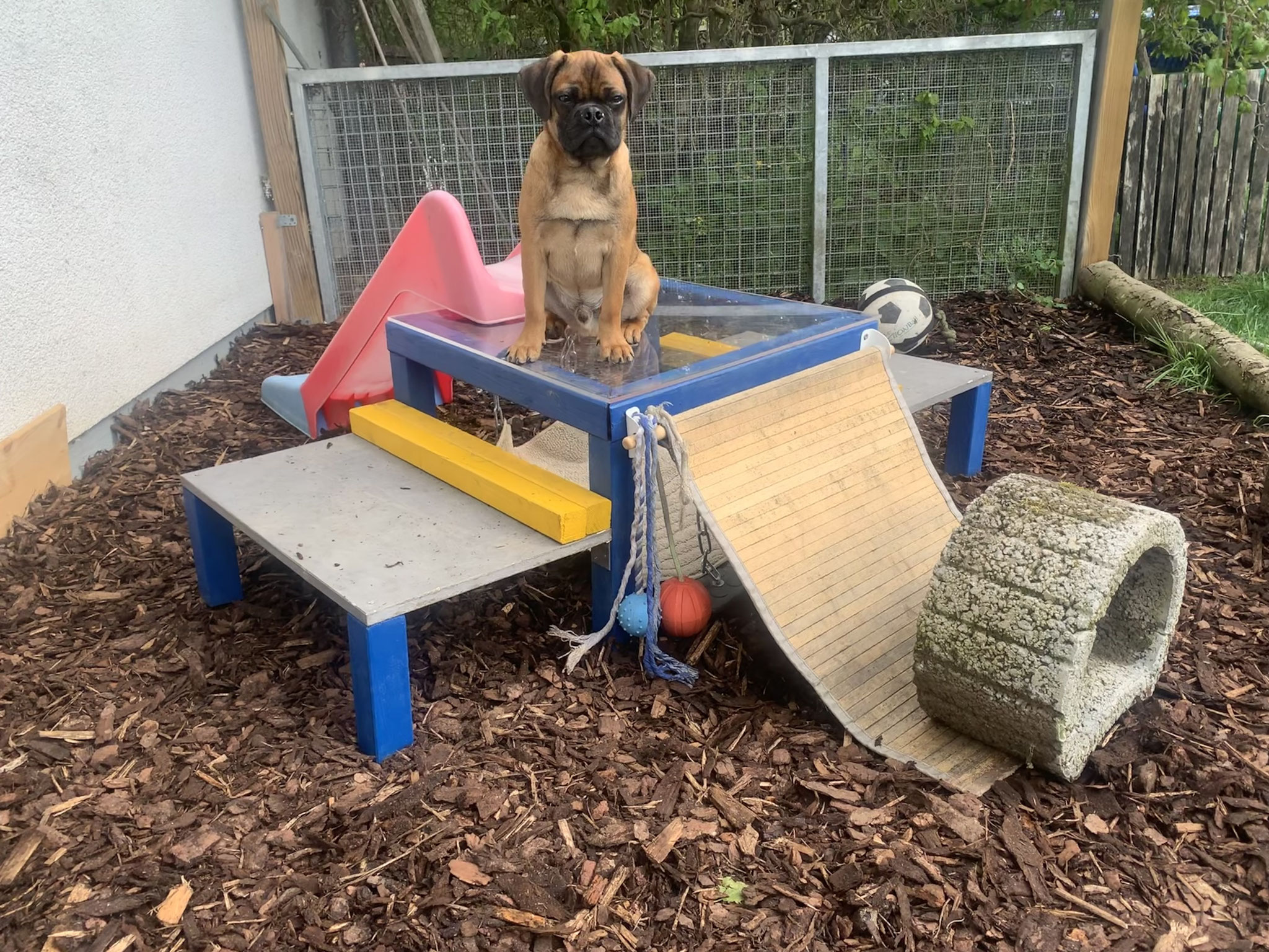 Der Platz gehört mir!