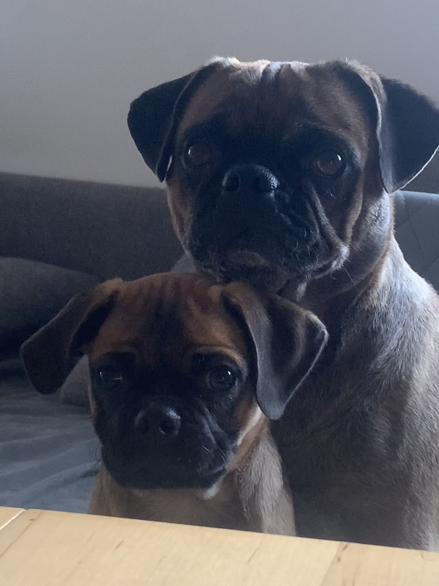 Tonka und Sherry