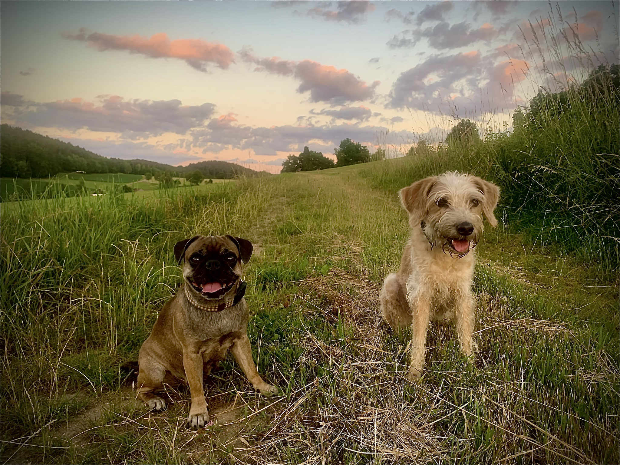 Tonka und Auri