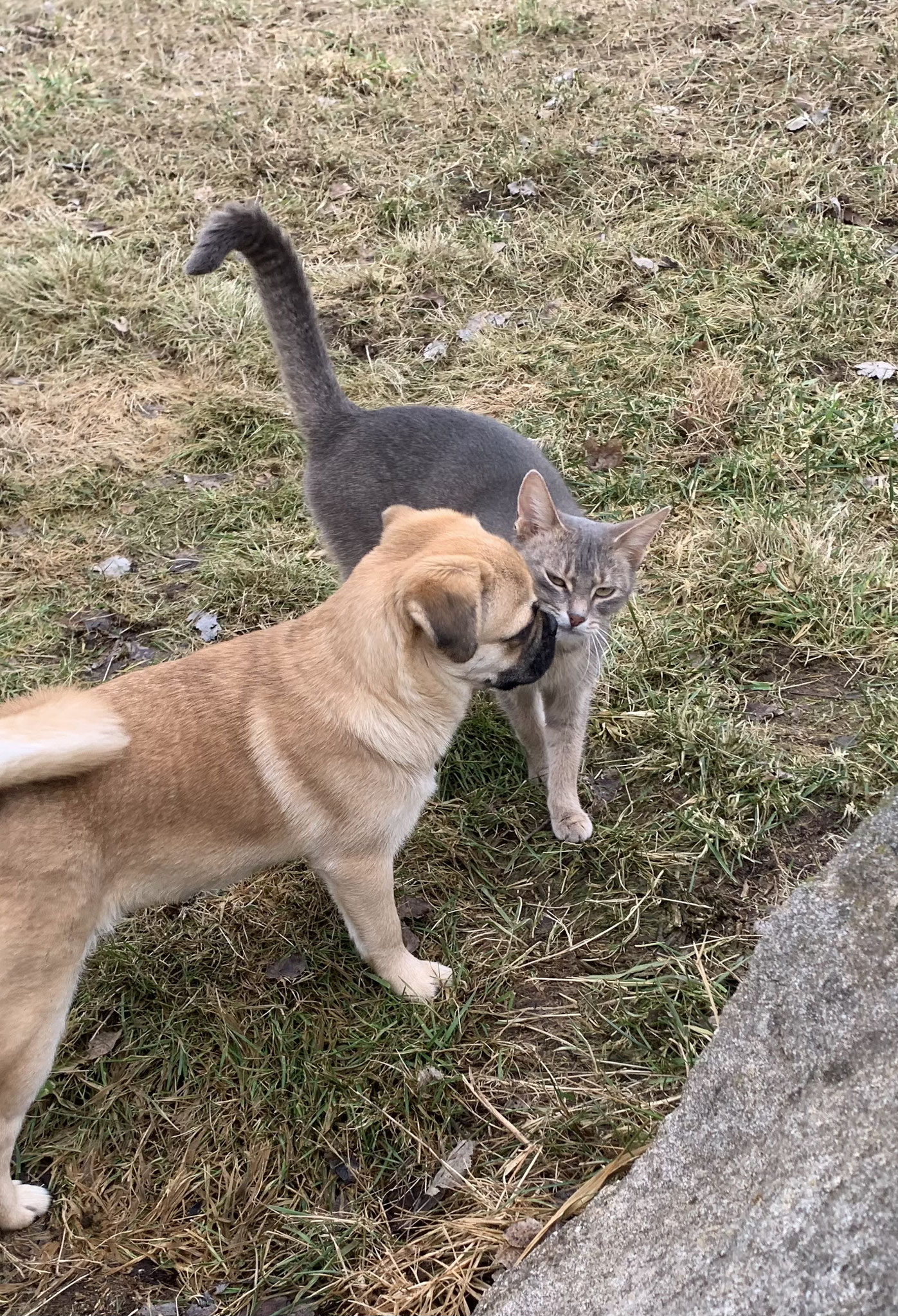 Kiss me…