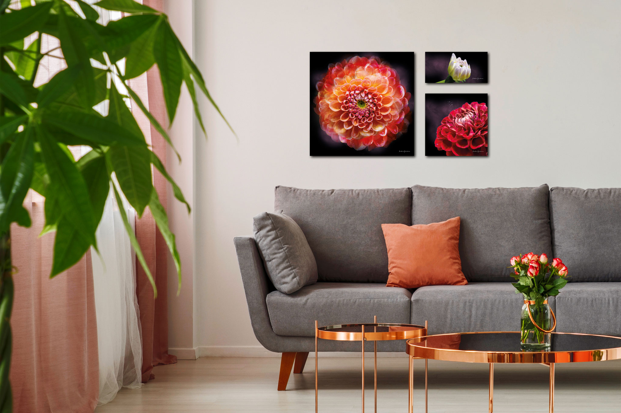 »Dahlie« 3er Set