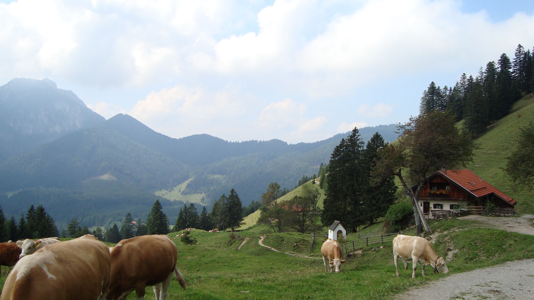 Gruberhof Fischbachau - Hansenalm