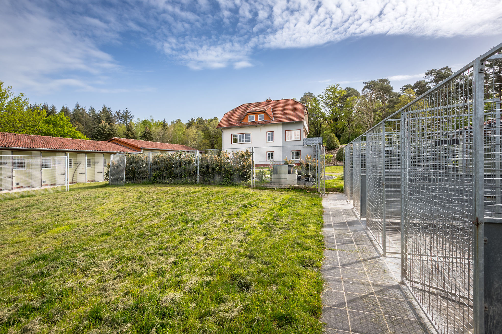 Hundepension