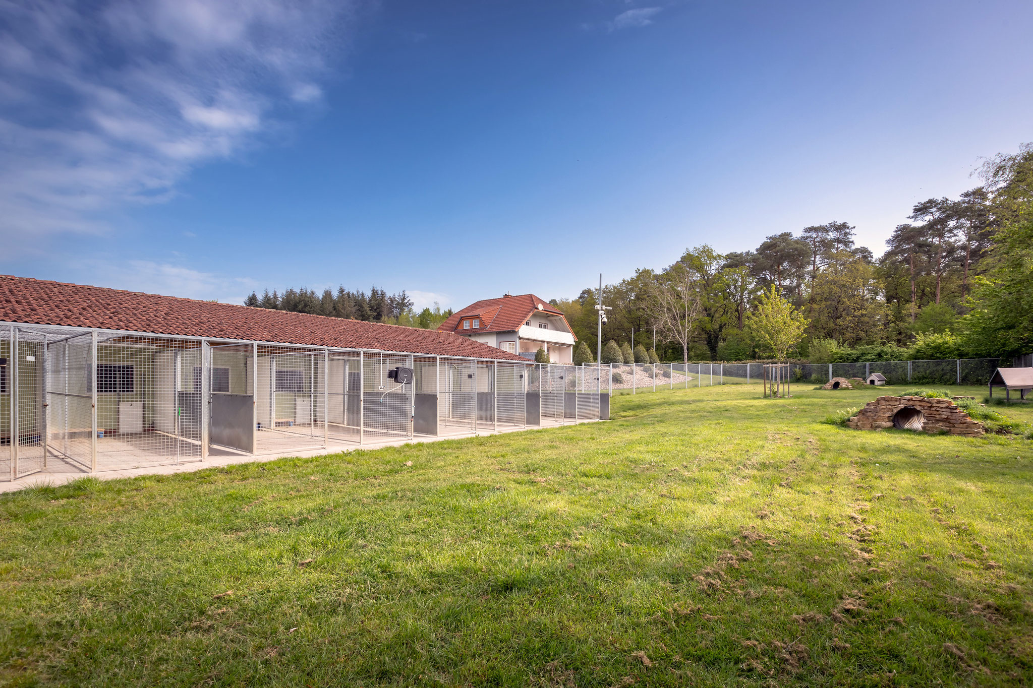 Hundepension