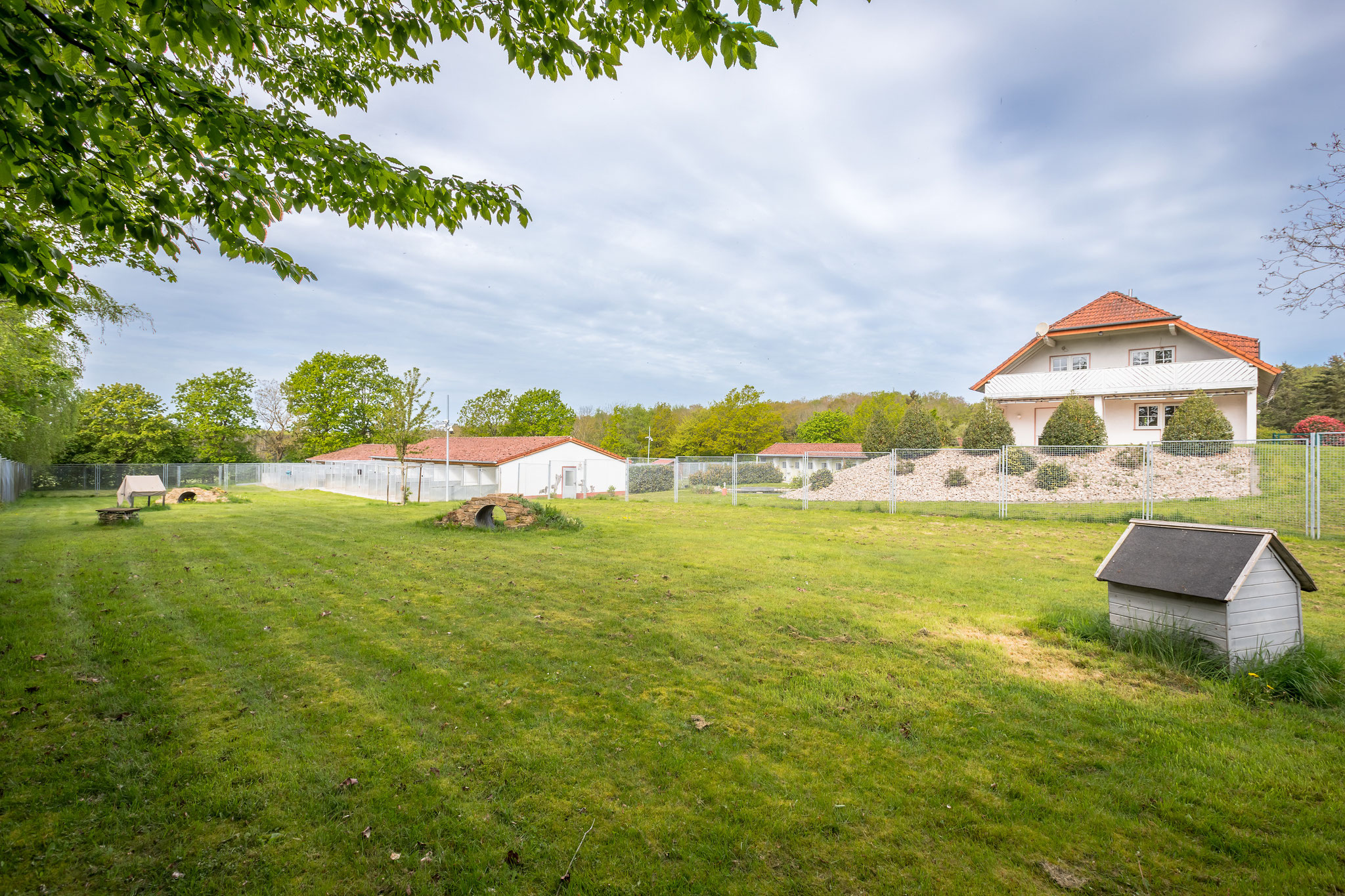 Hundepension