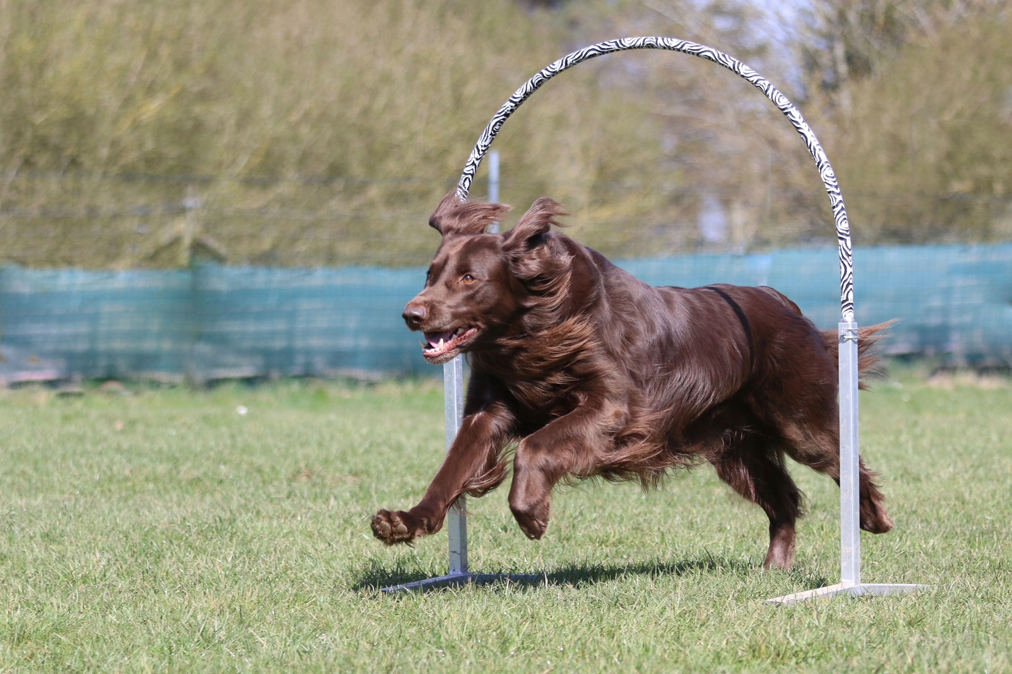 Hooperstraining