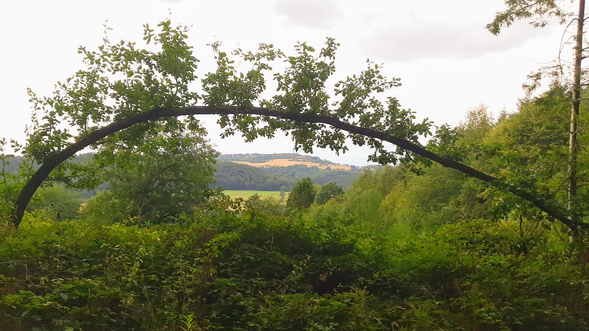 Schöne Aussicht