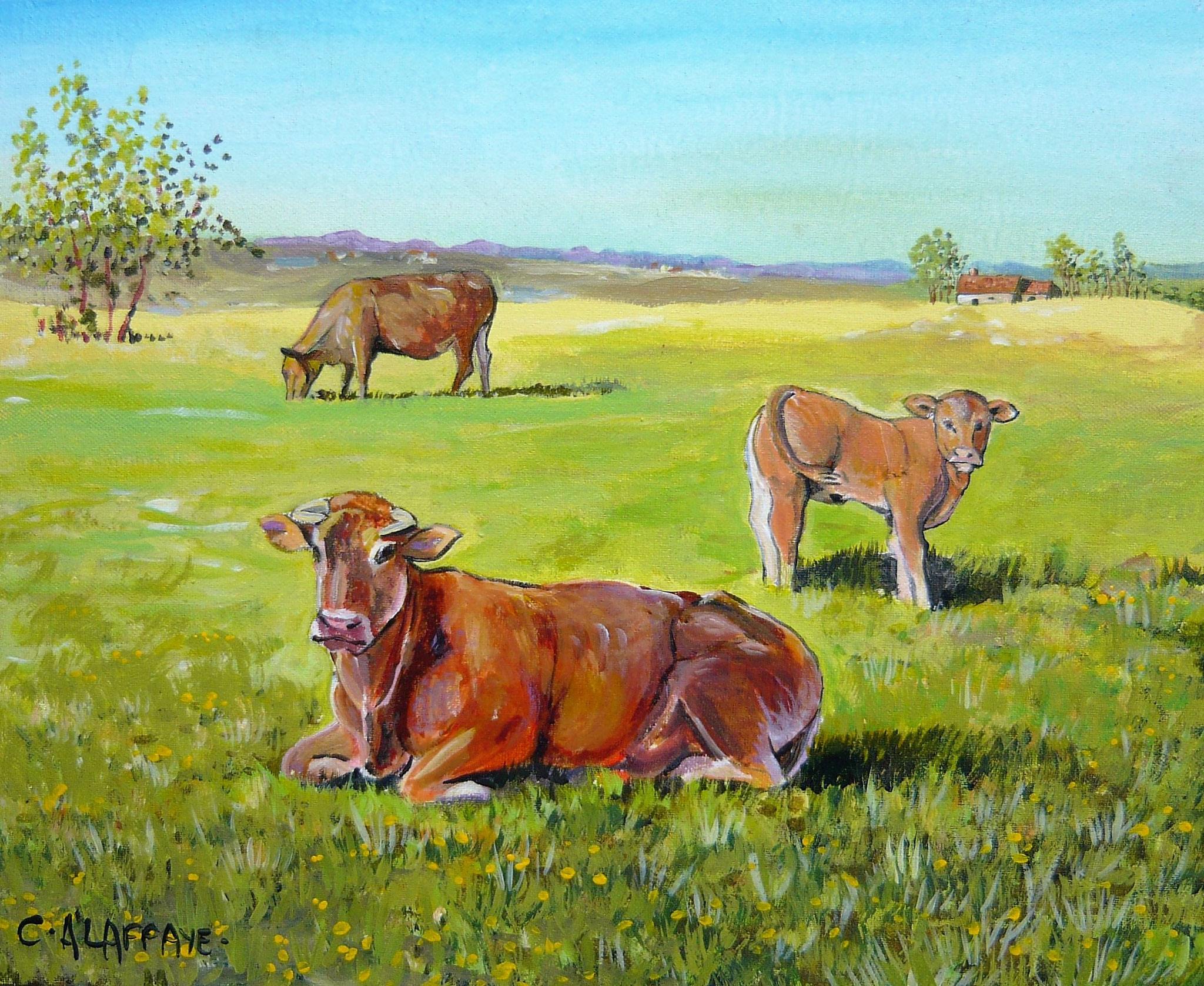 Limousines. 41x33cm. Cote 234€ encadré.