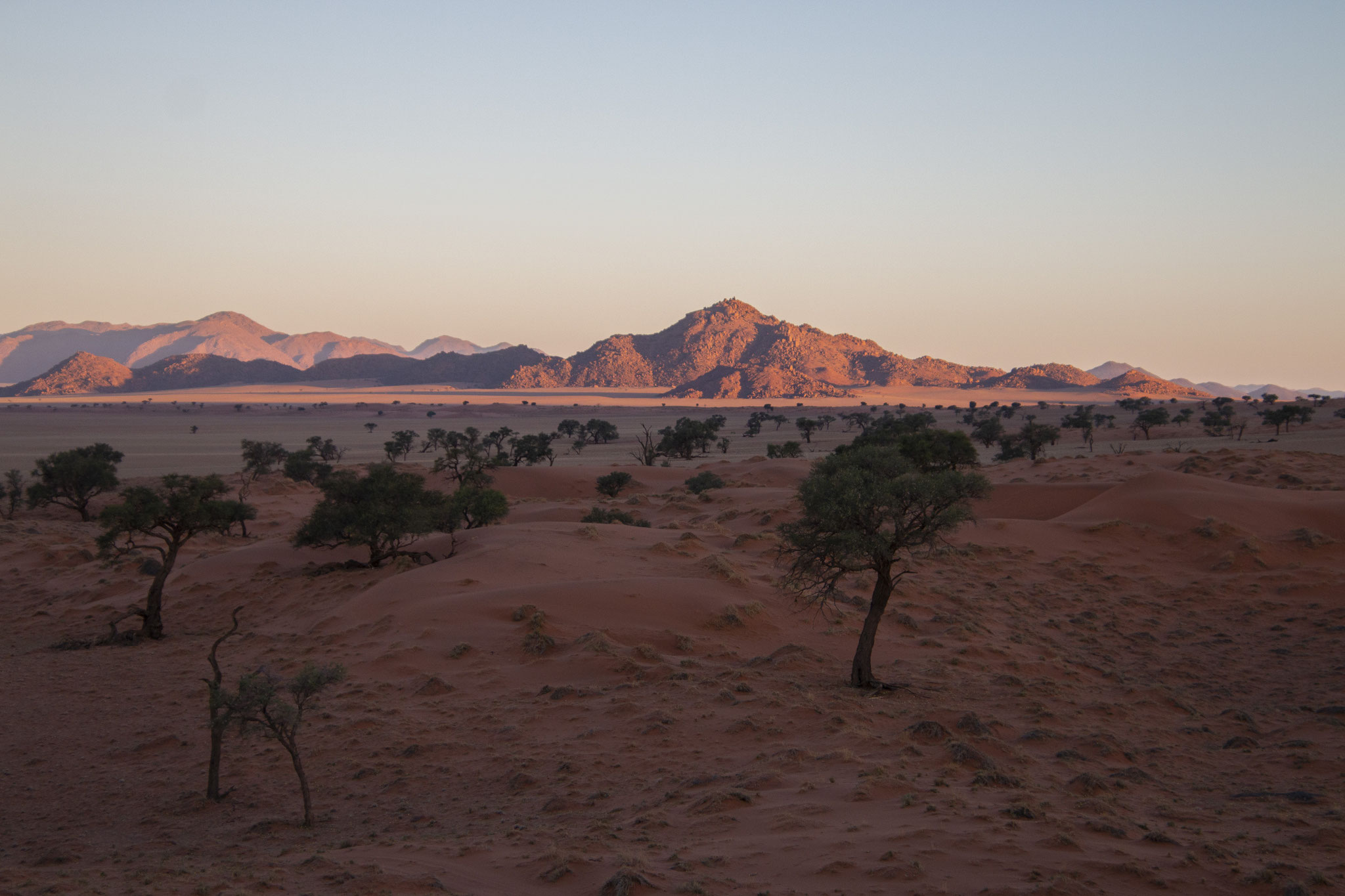 Namib Desert, 2018