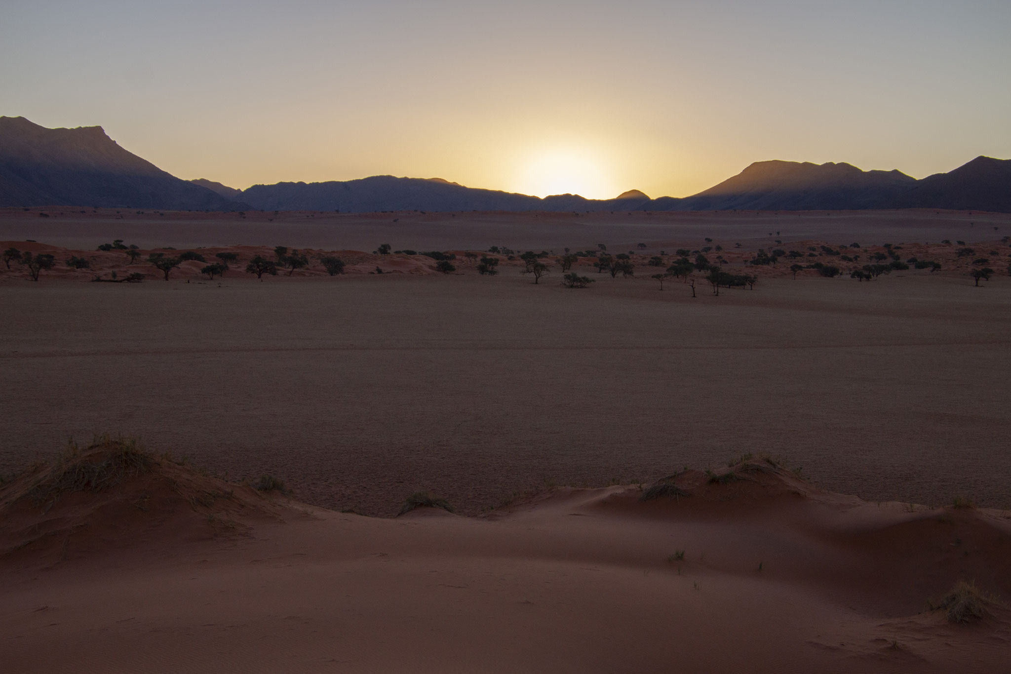 Namib Desert, 2018