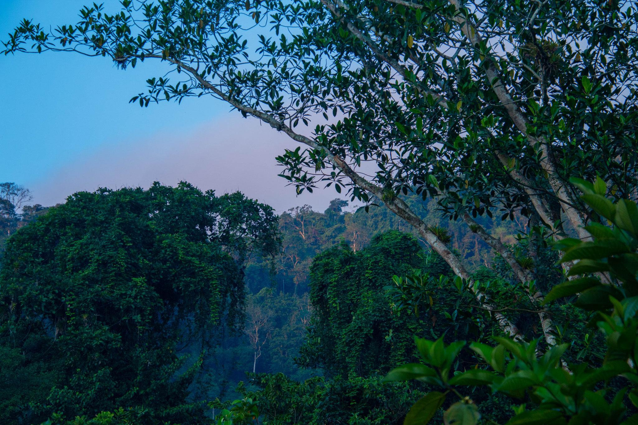 Sierra Nevada de Santa Marta, Colombia, 2019