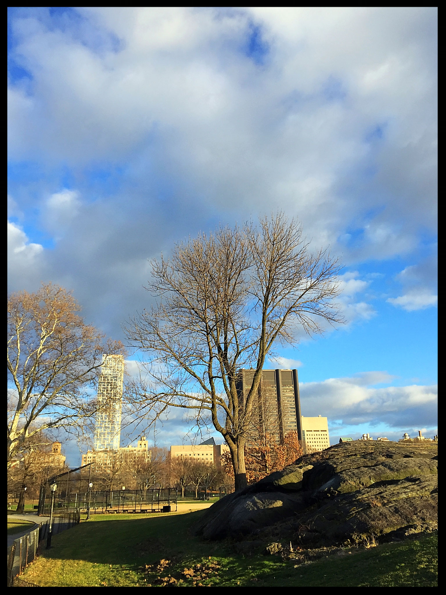Vues de Central Park