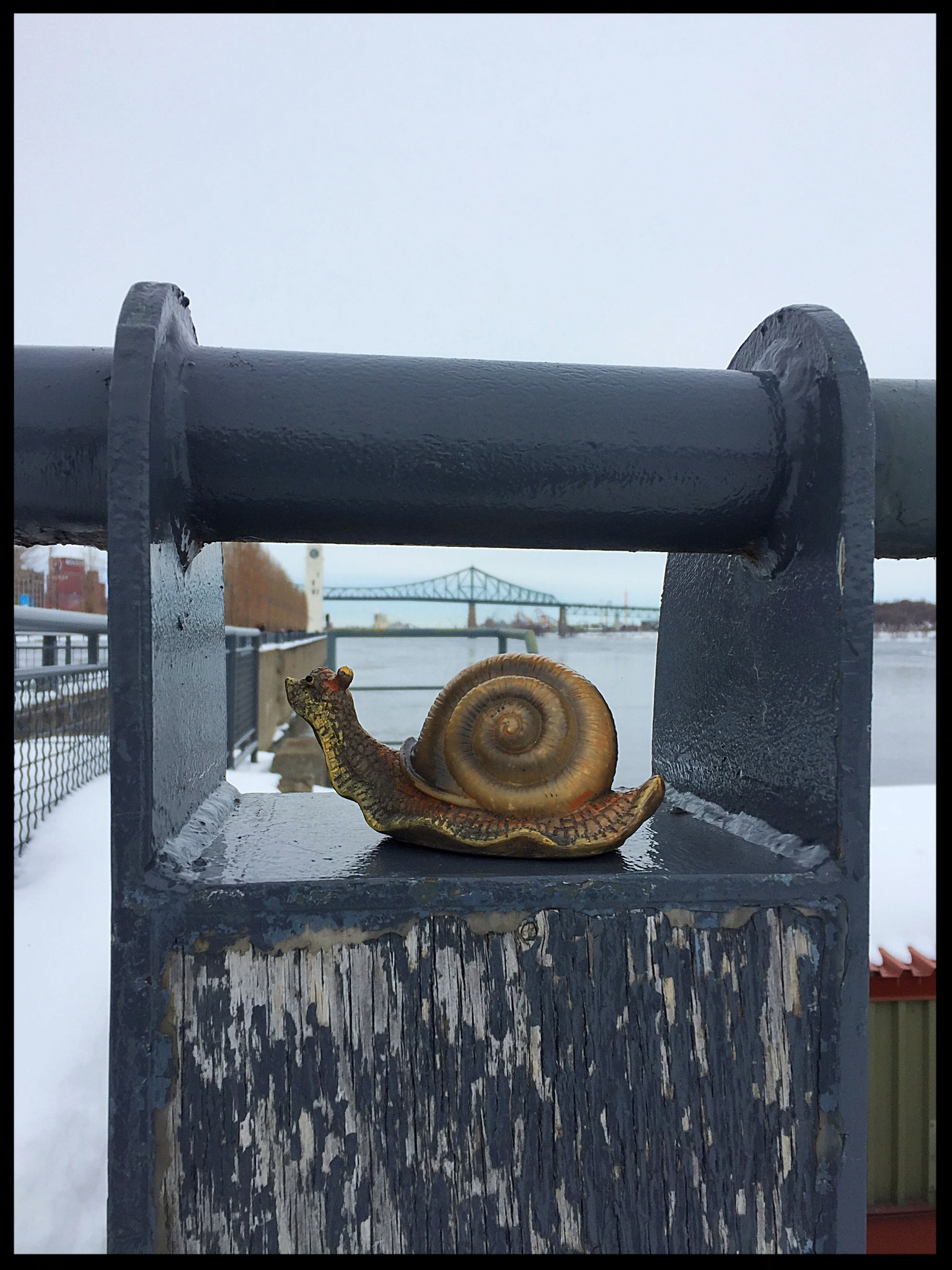 et devant le Pont Jacques Cartier
