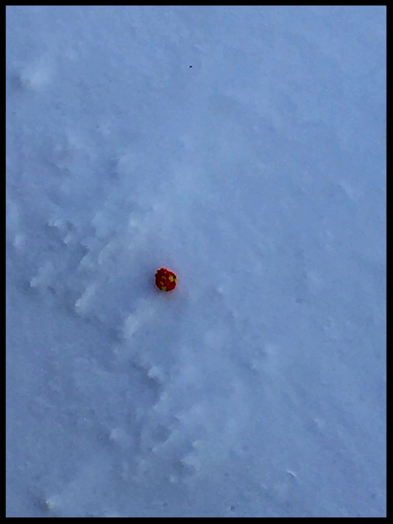 ...où il perd son bonnet!