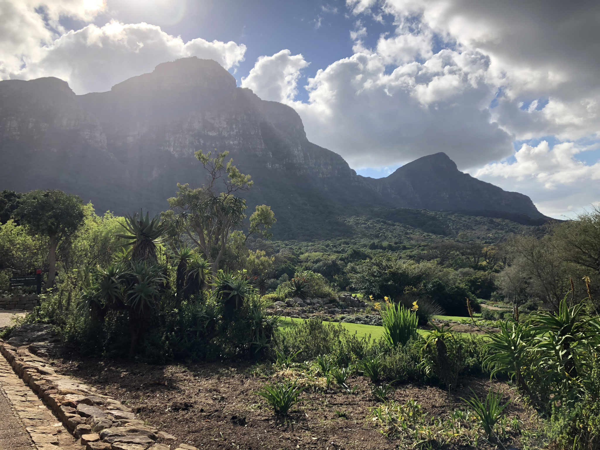 Kirstenbosch Botanical Garden - Südafrika