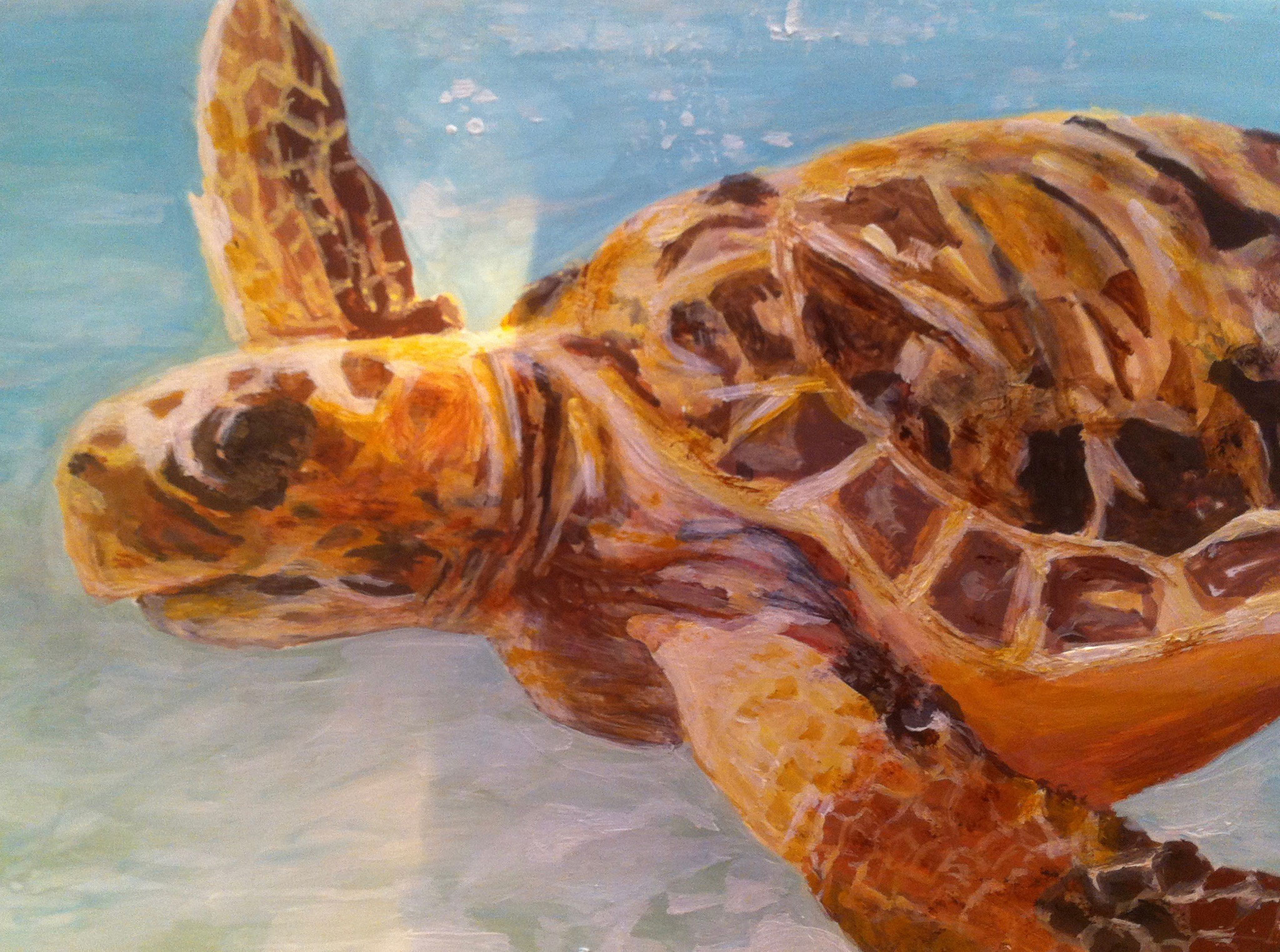Schildkröte, Acryl auf Fotopapier