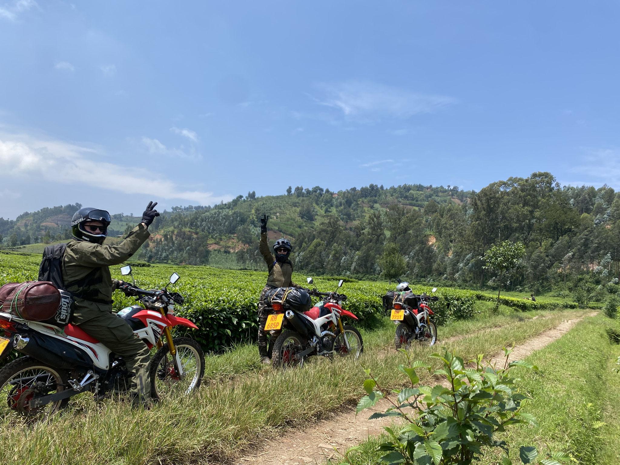 Off Road Motorbike Adventure in Rwanda, Tea Planation