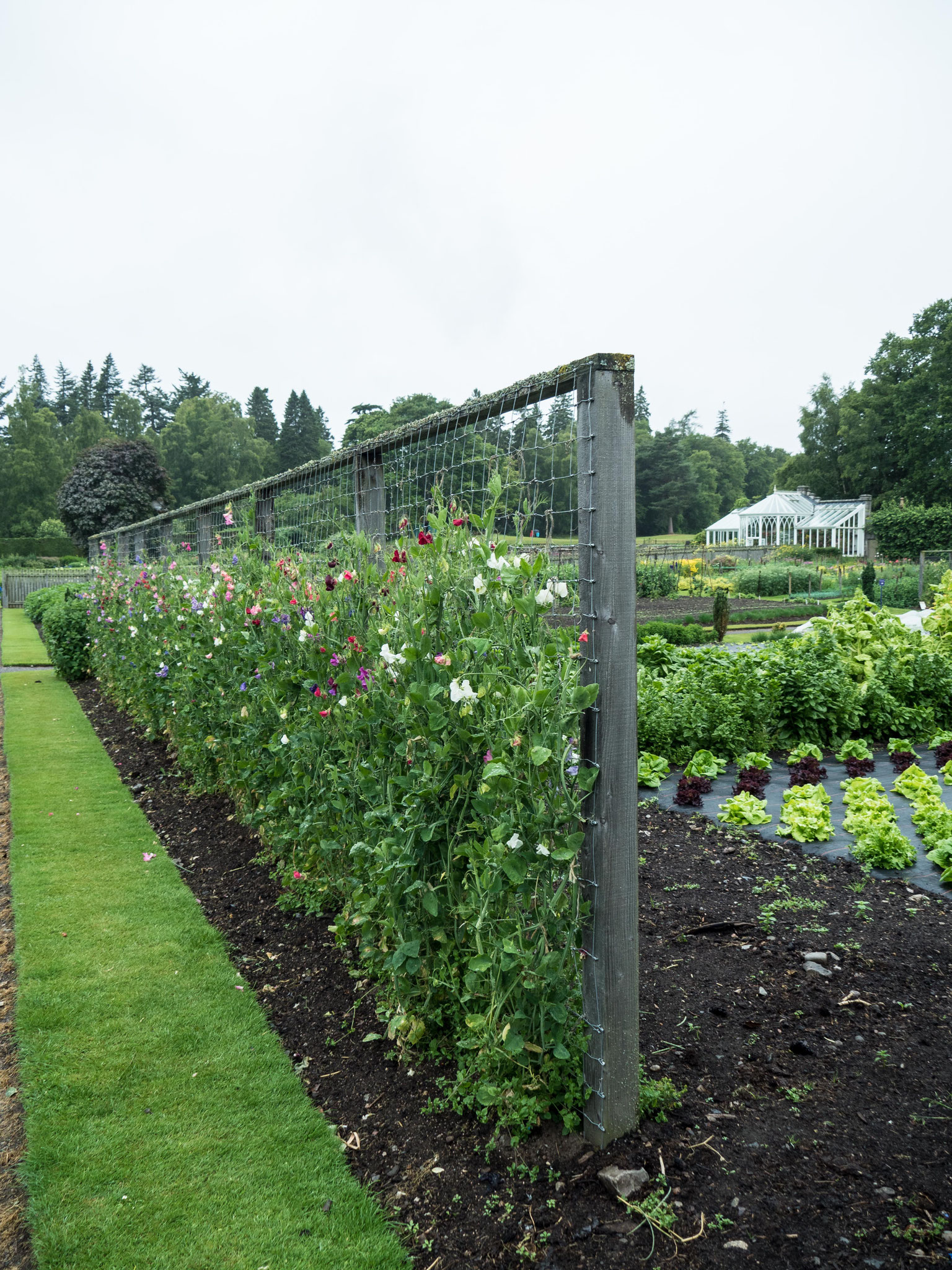 Bild: Balmoral - Gartenanlagen