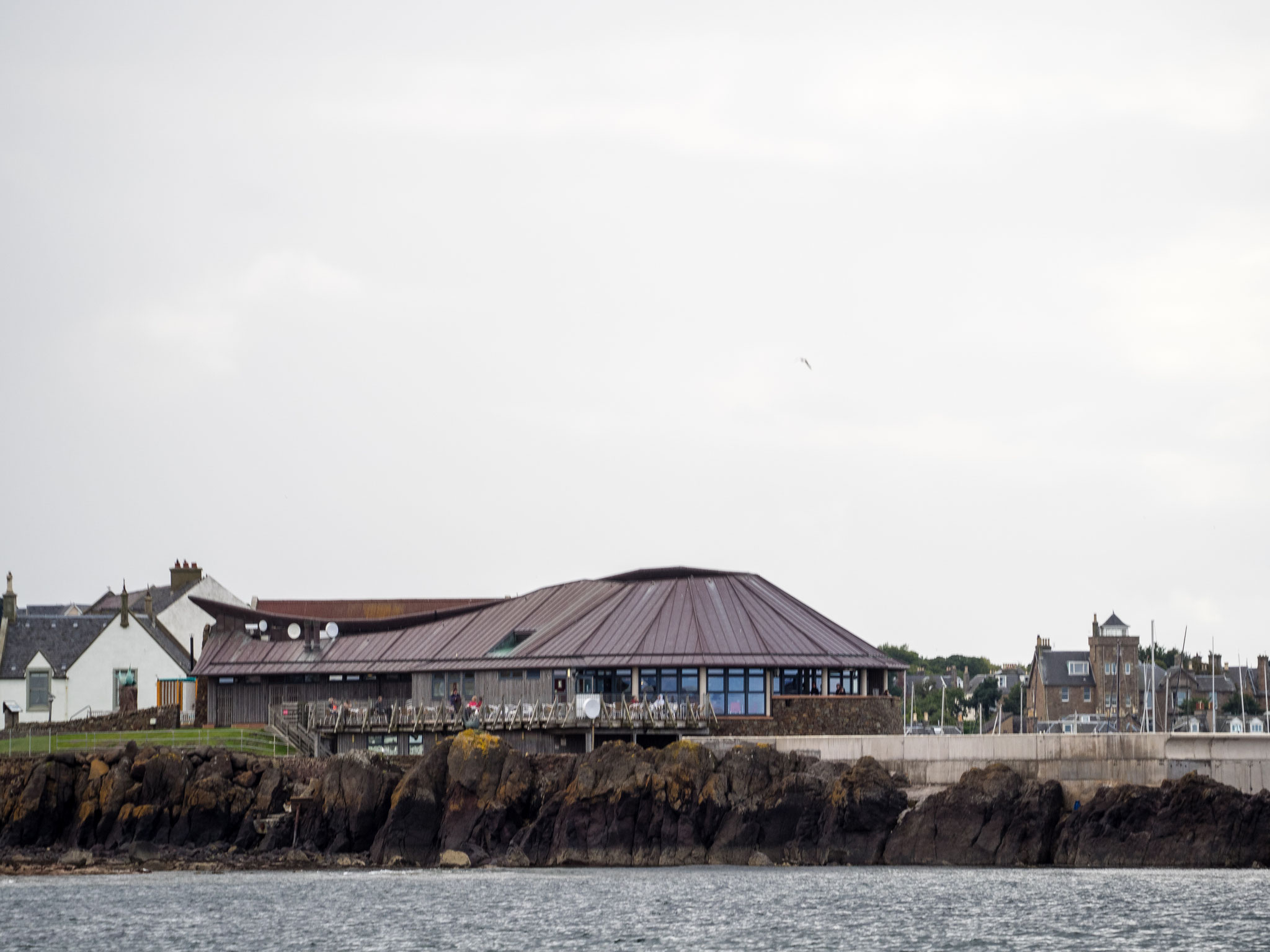 Bild: Scottish Seabird Centre