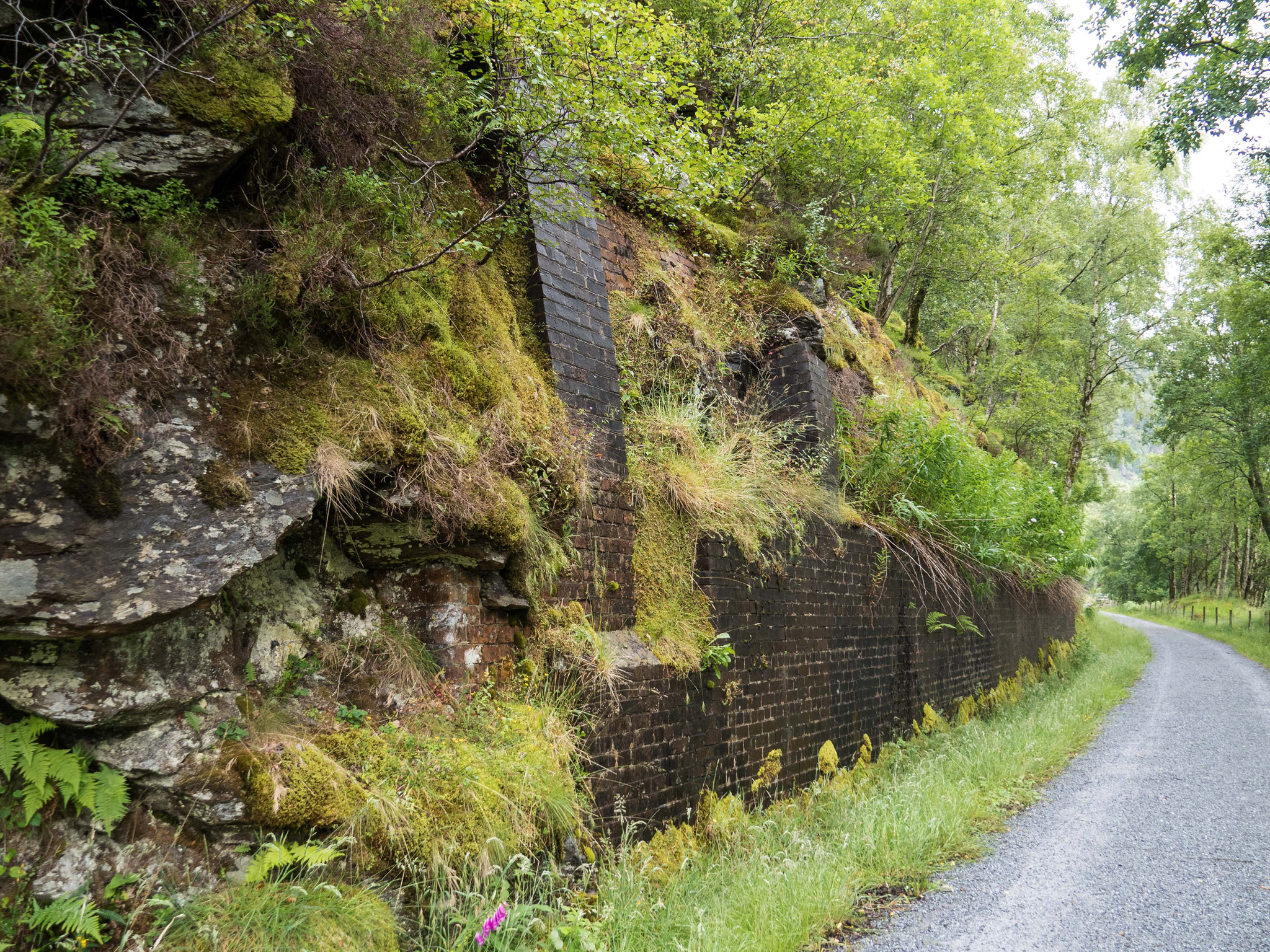 Bild: alte Eisenbahntrasse