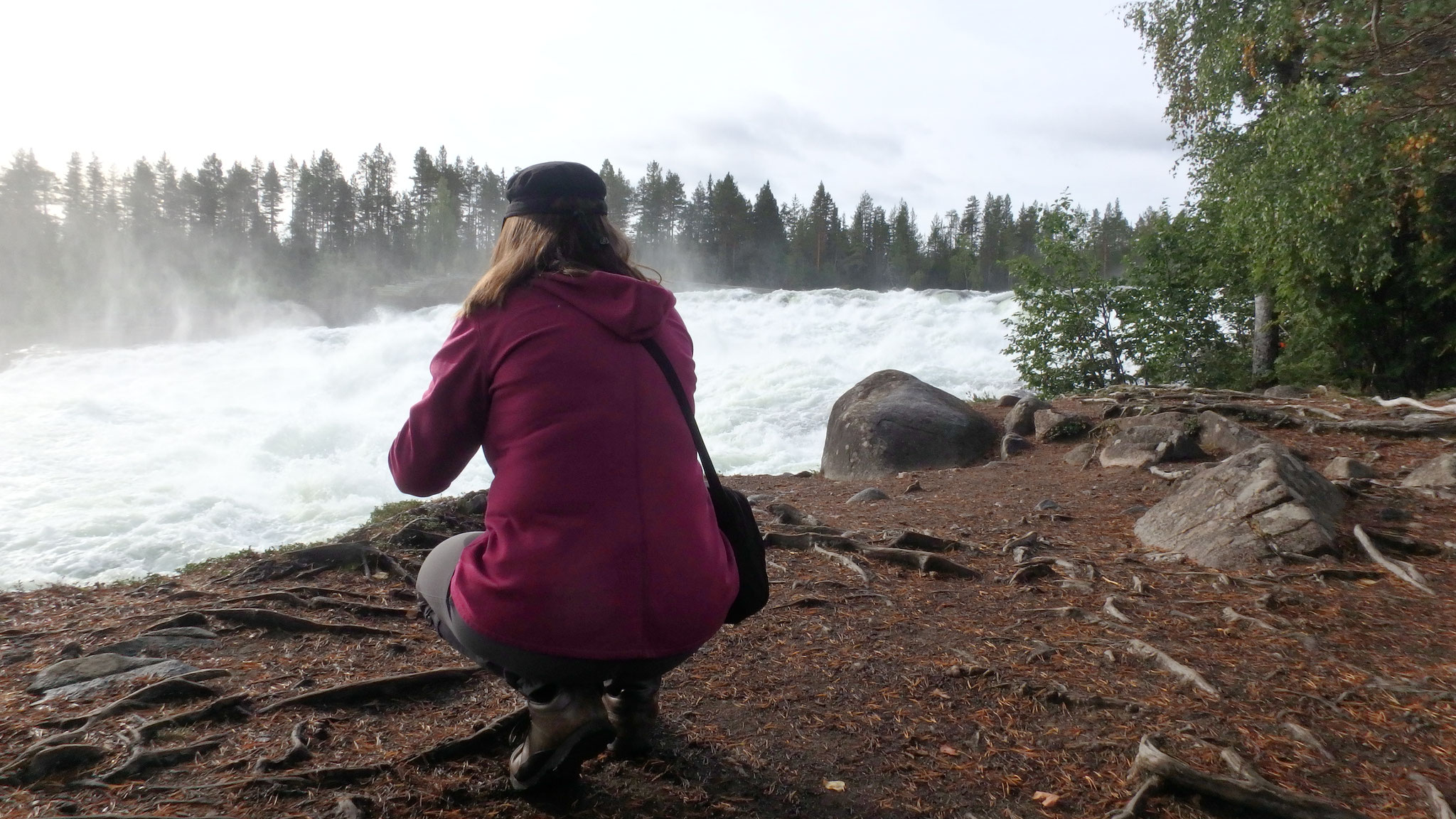 Blick auf den Storforsen