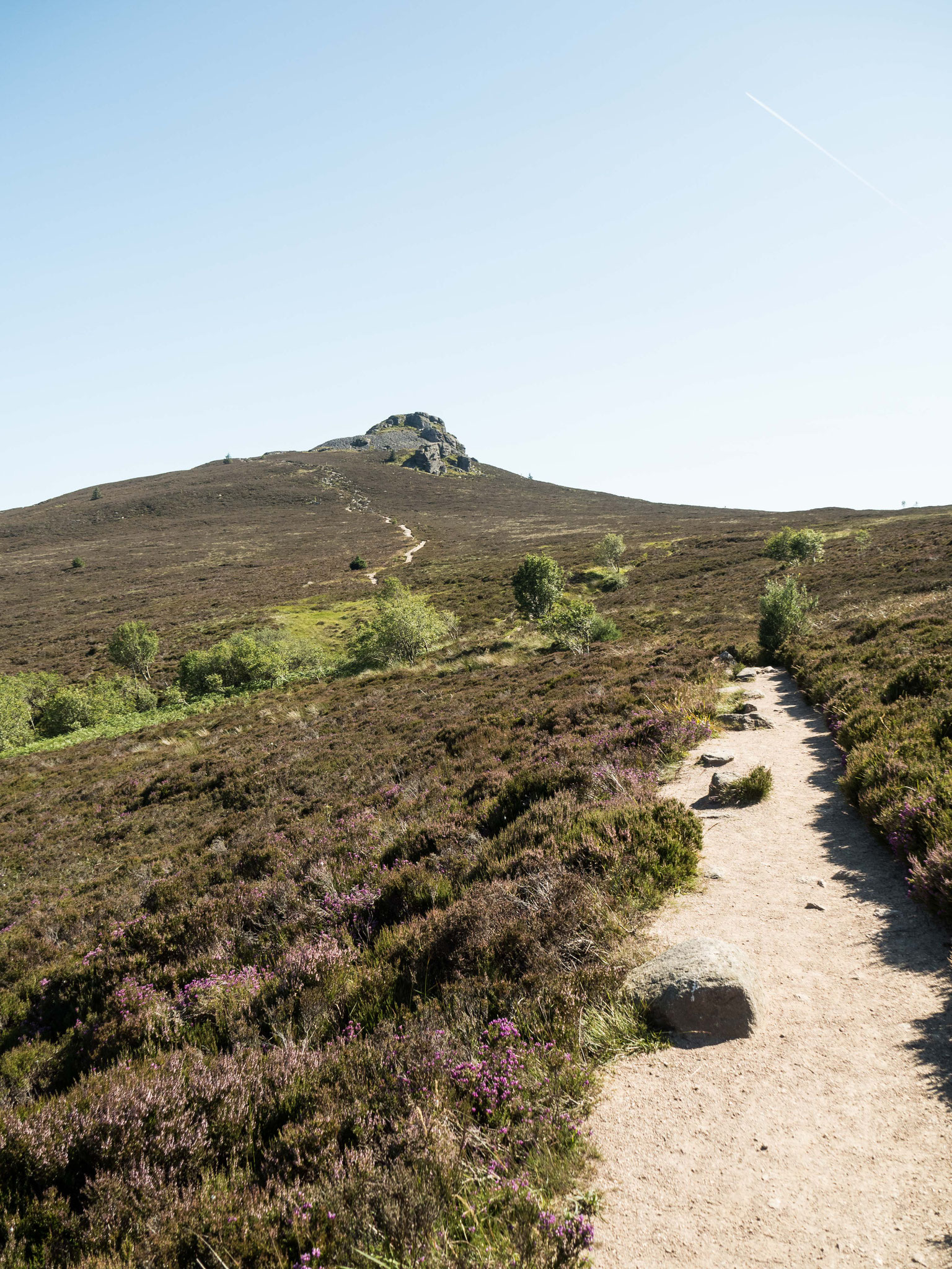 Bild: Bennachie Wanderung