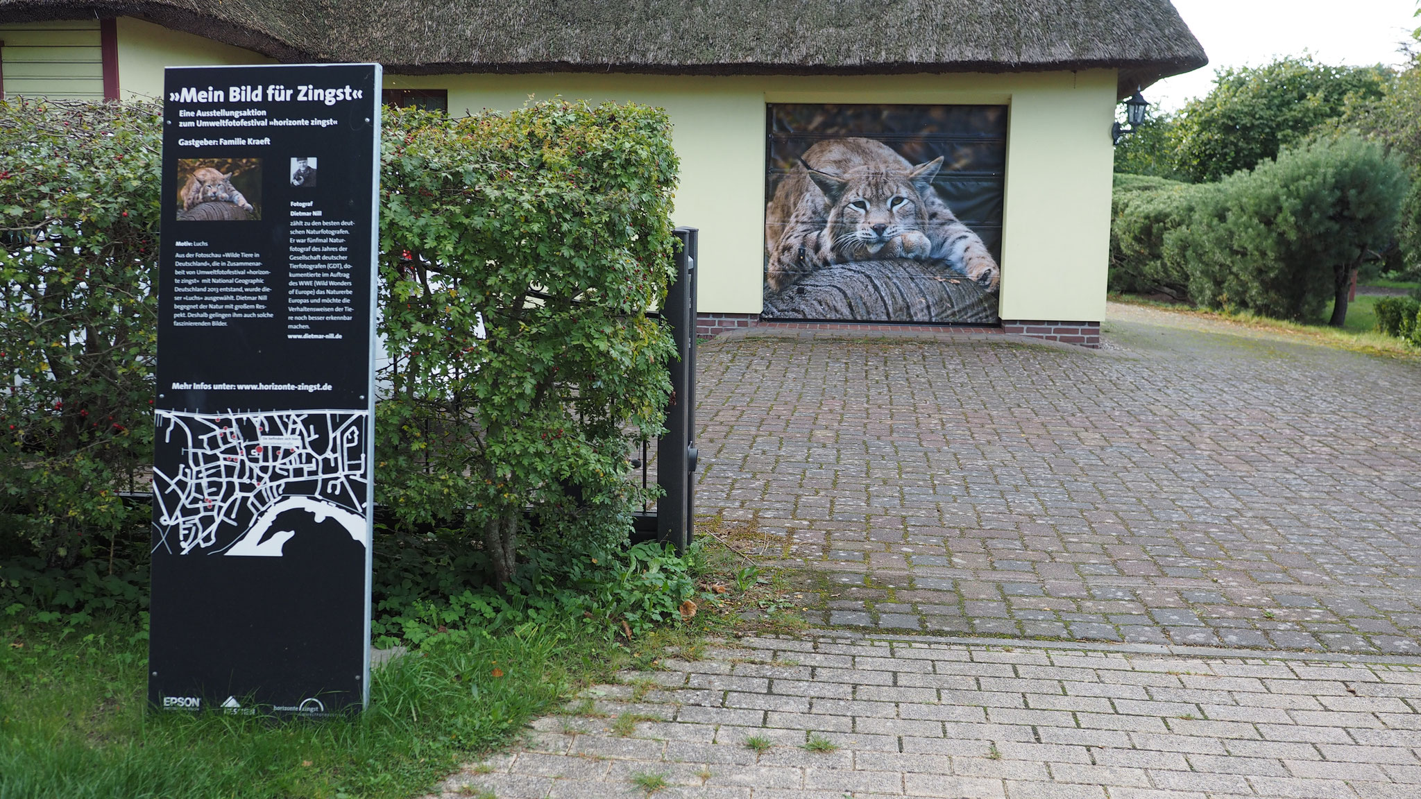 Ausstellungsaktion Mein Bild für Zingst