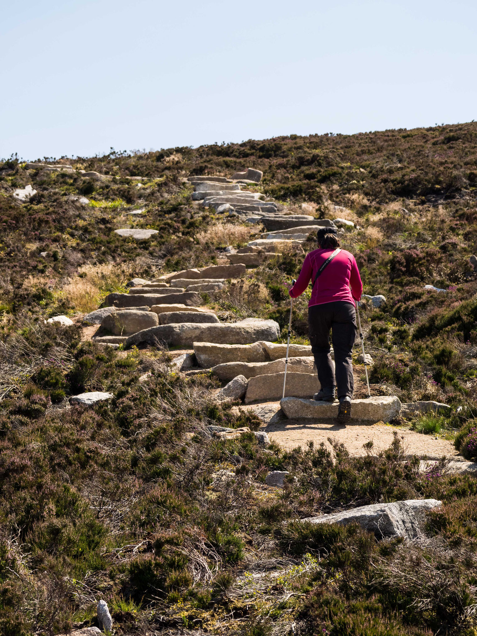 Bild: Bennachie Wanderung