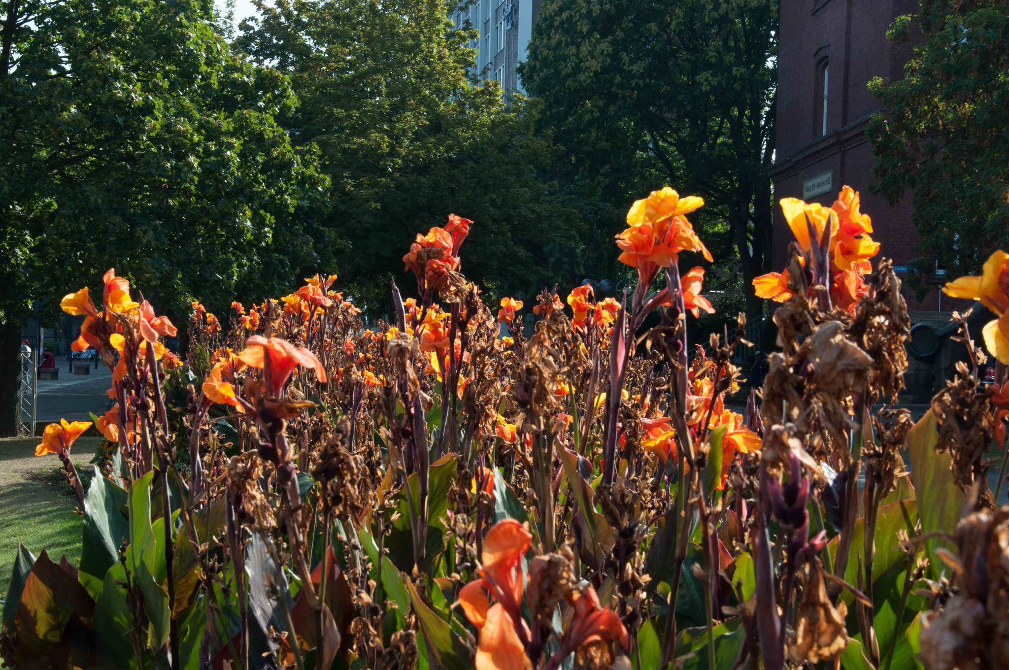 Stadtgarten Dortmund