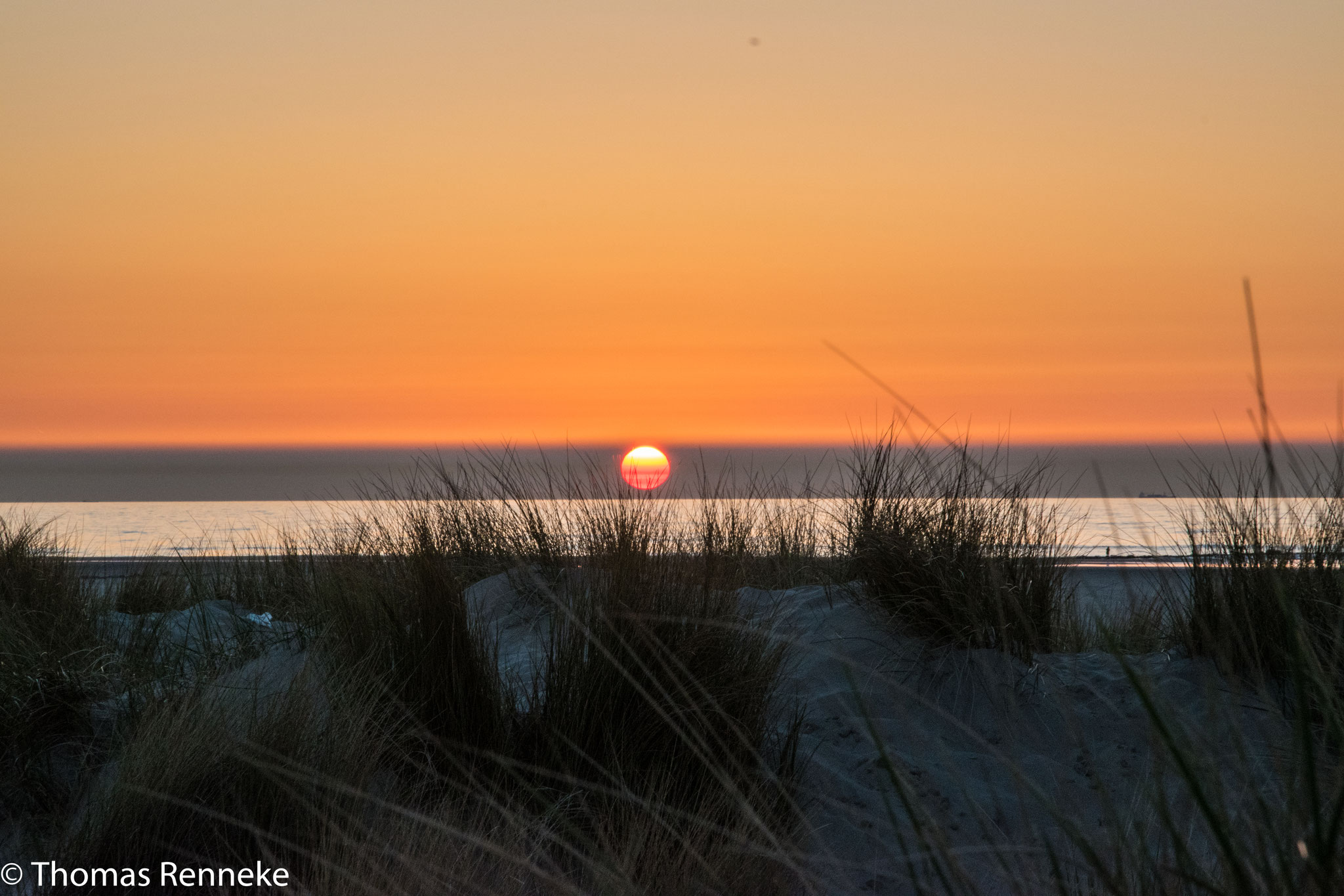 Leuchtturm Texel, De Cocksdorp