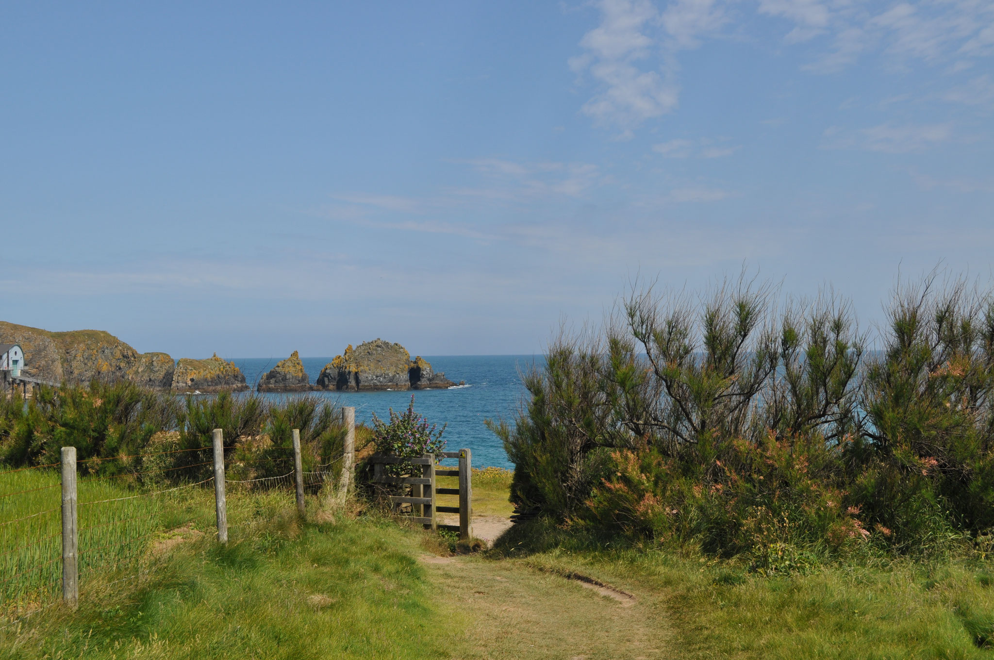 Cornwall- South West Coastpath  -  (c)T.Renneke