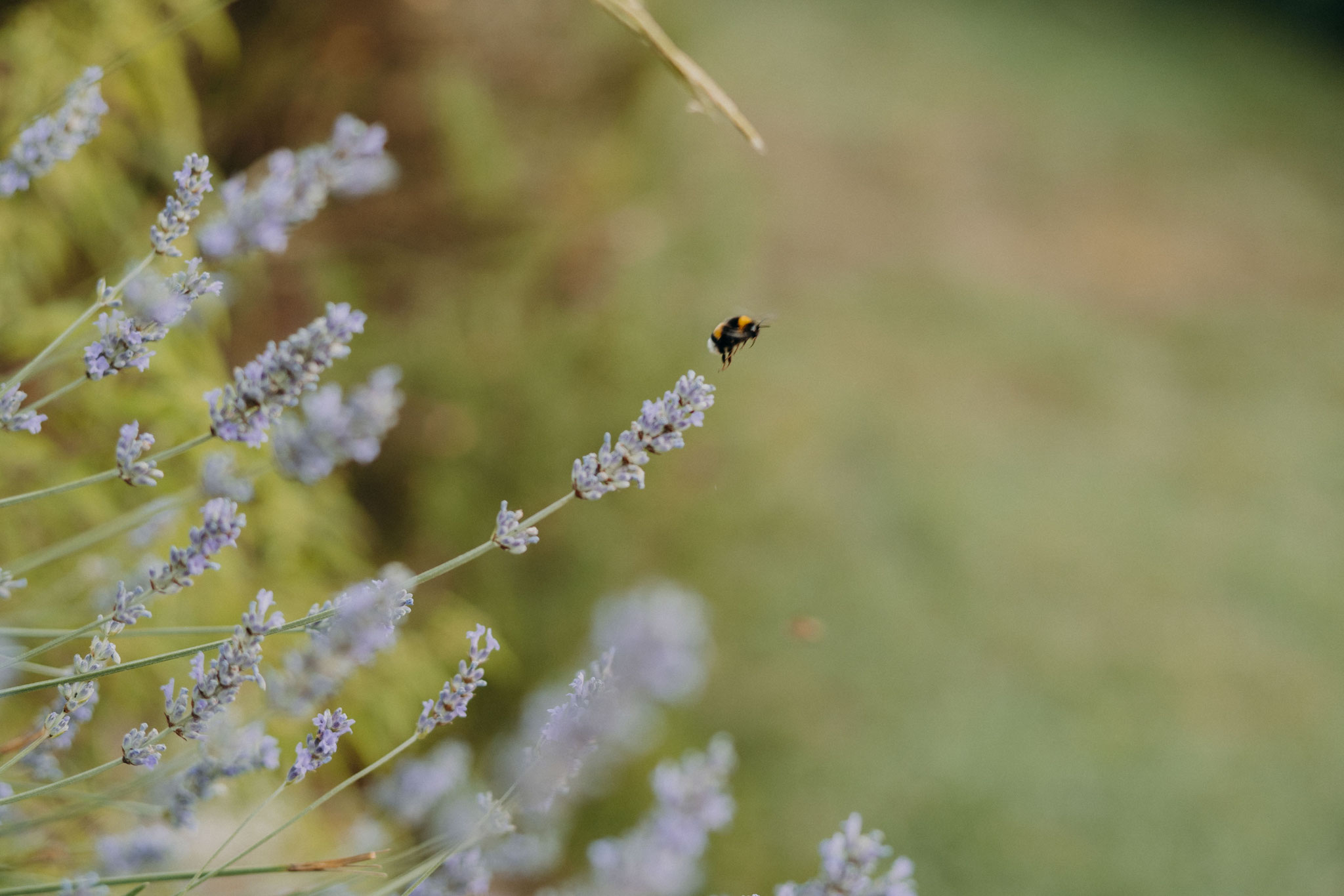 best_wedding_photographer_tuscany_108