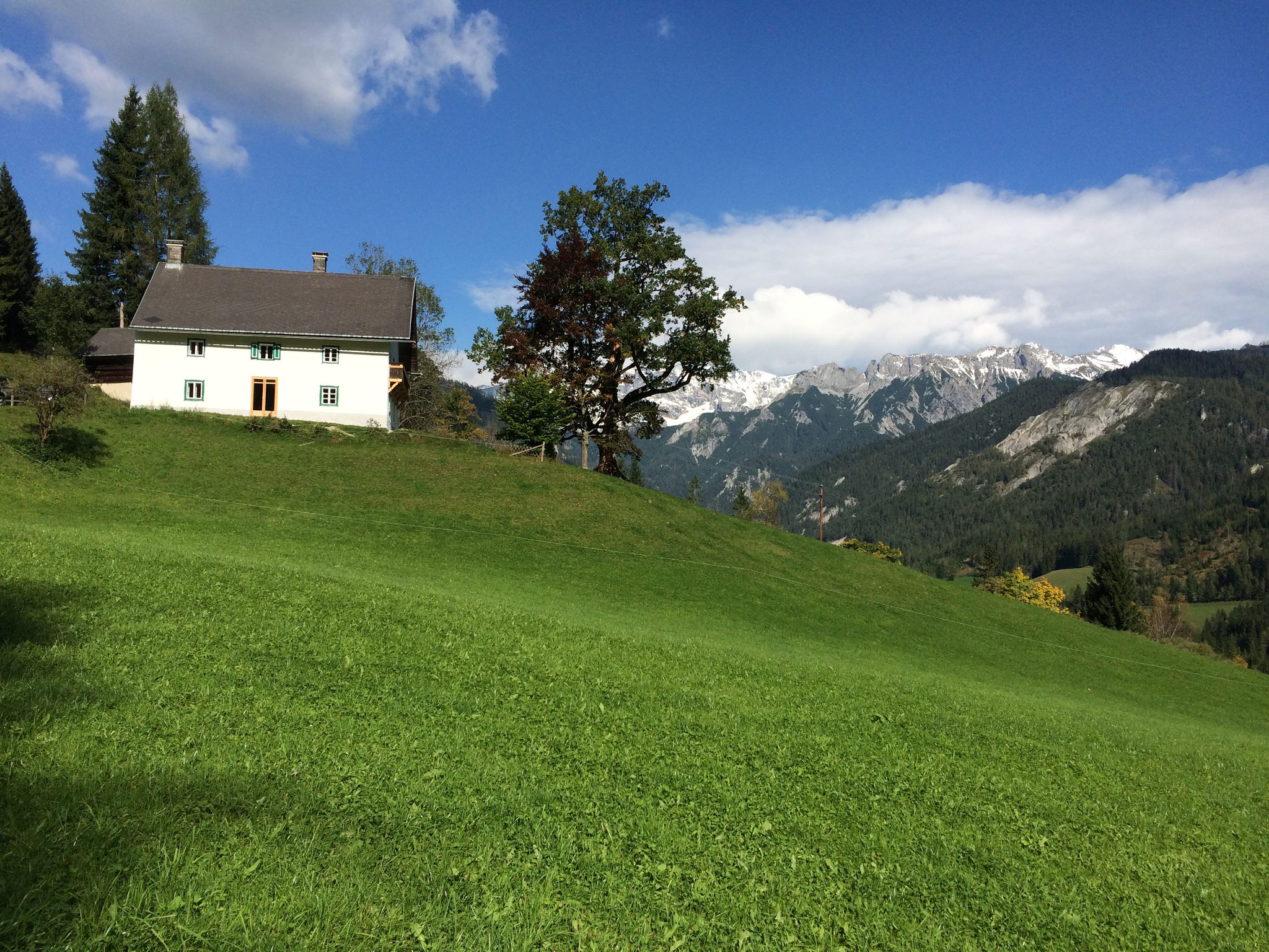 das Ferienhaus im Grünen