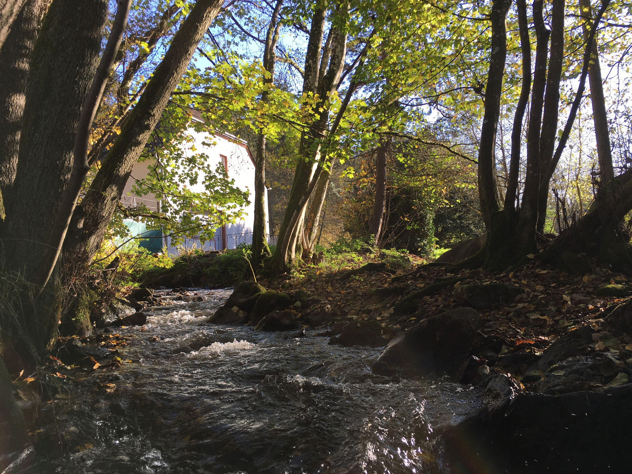 The Mühlbach