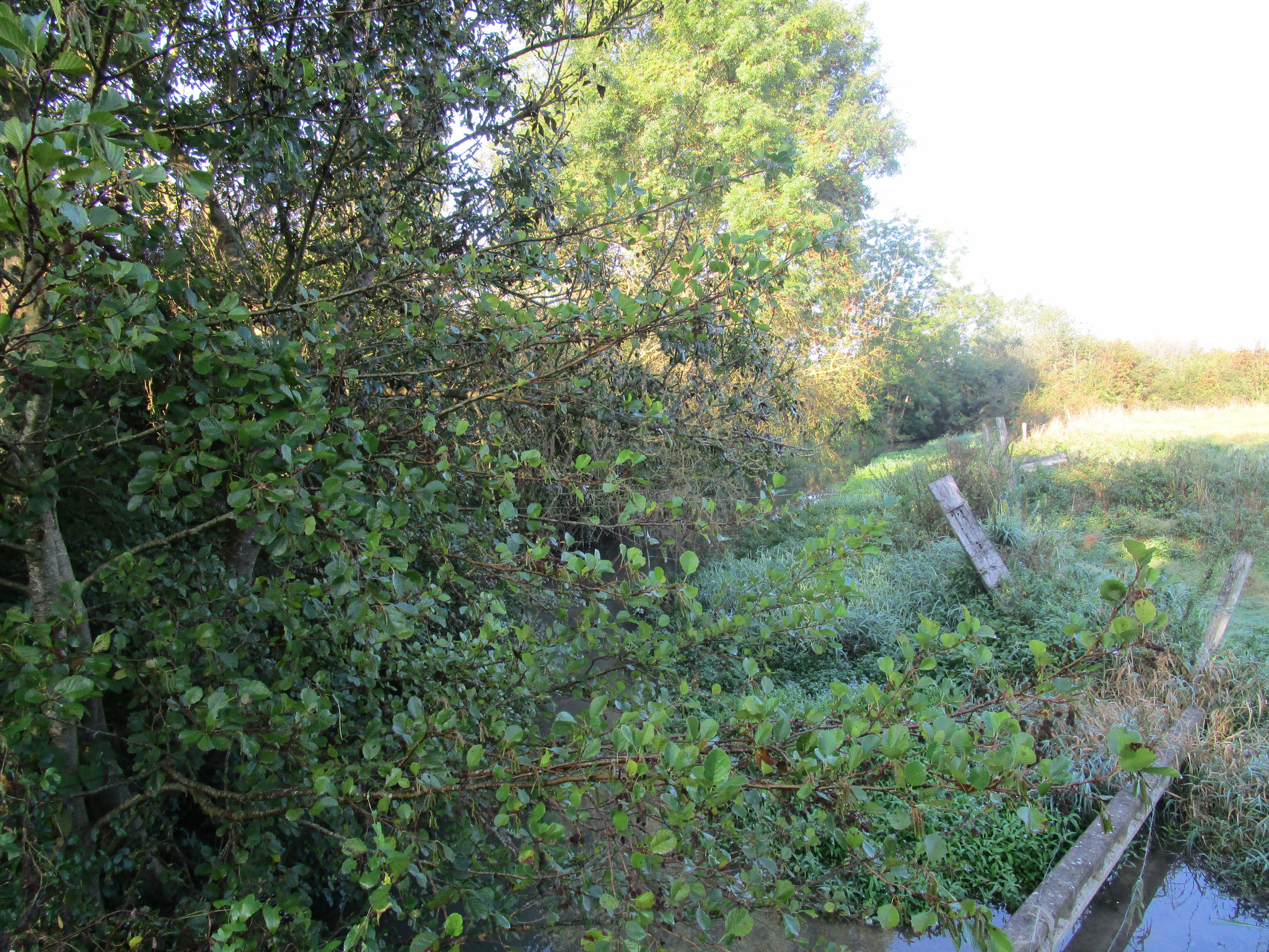 Rivière du Pont la Bique et pont de fortune avec des poteaux 