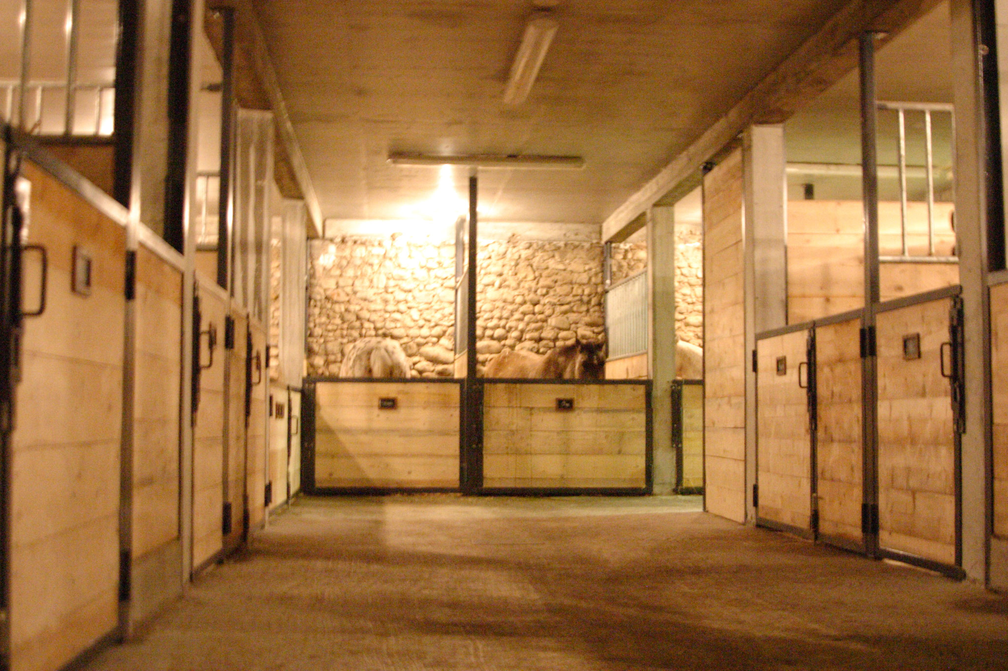 Les boxes