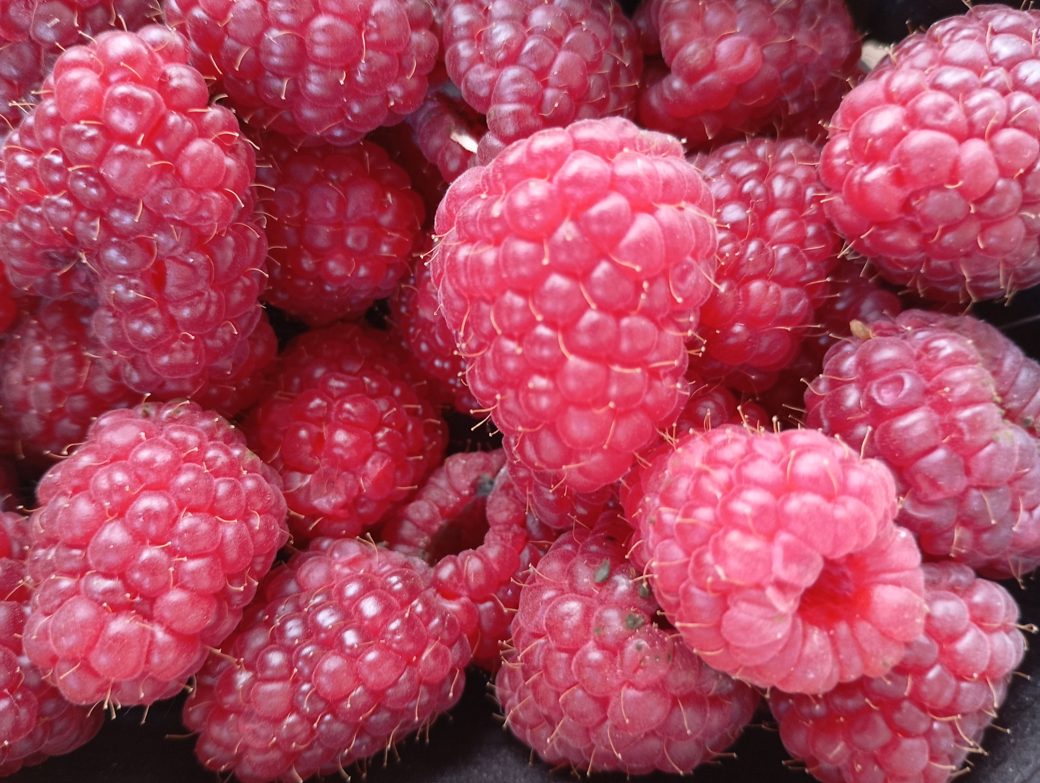 ausgewogene Ernährung