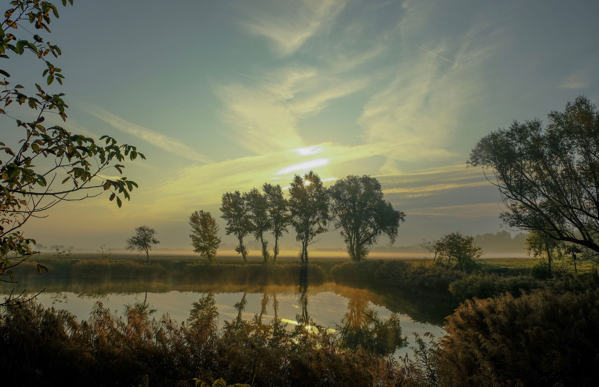 Kovács Tamás (SK) 