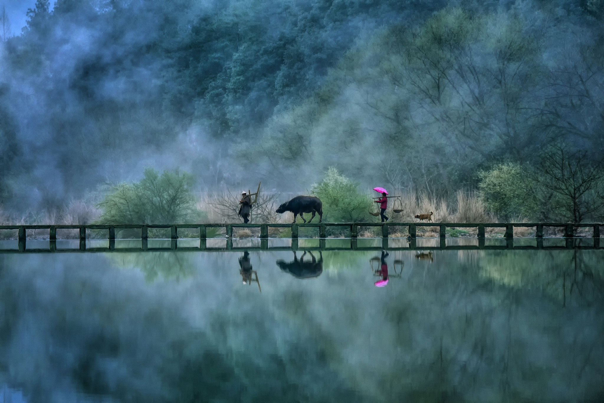 Steven Yee (Singapore) - The Farmer Returns