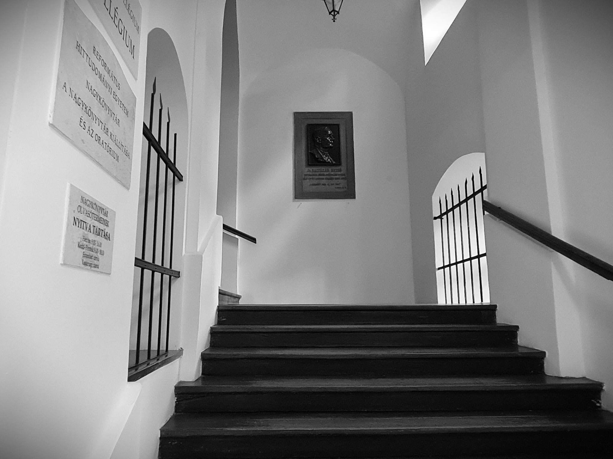 Ștefan Tóth István AFIAP, ESFIAP - Debrecen (HU)