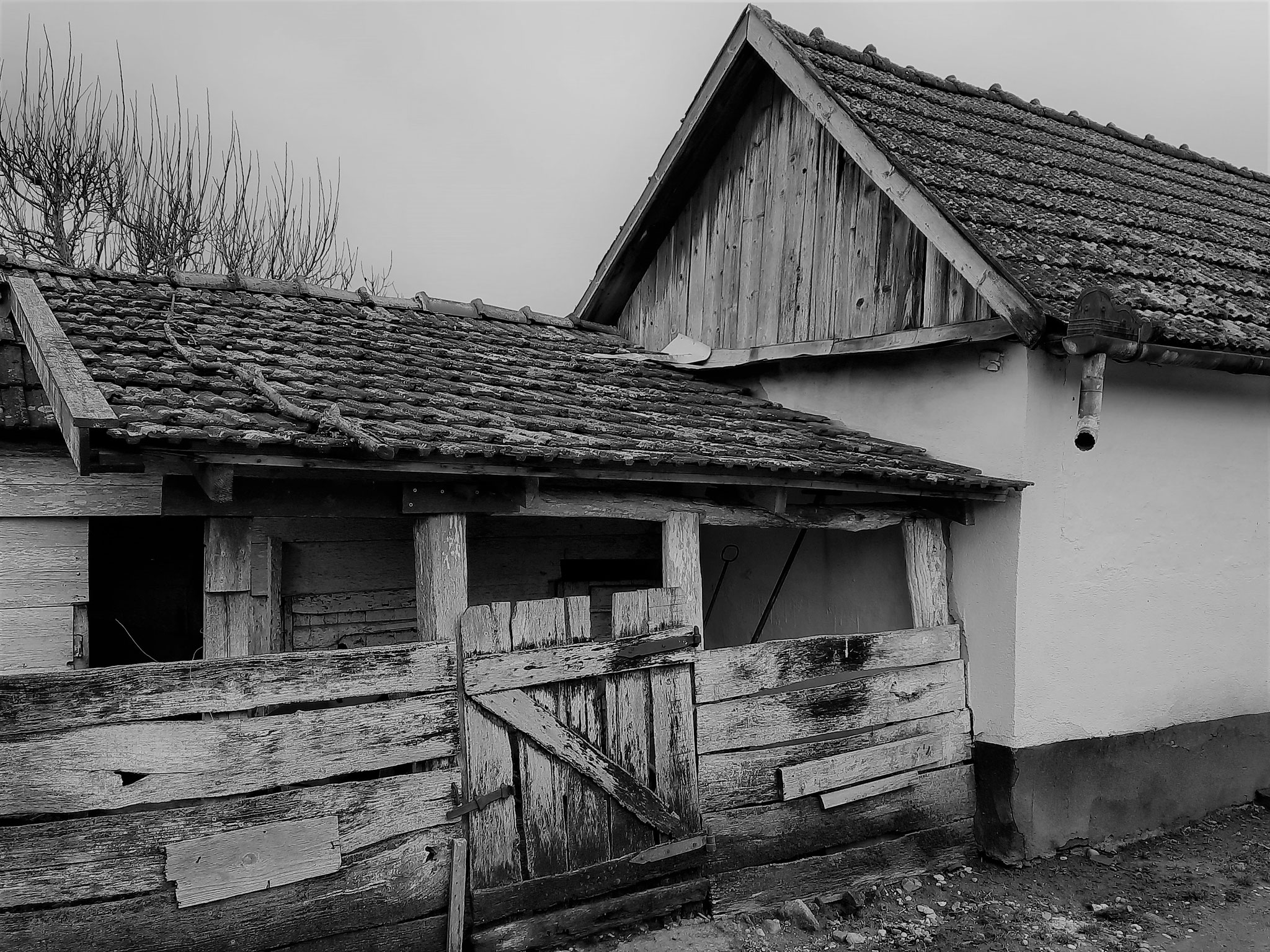 Foto: Körösi Mátyás Zoltán (Sălard/ Szalárd)