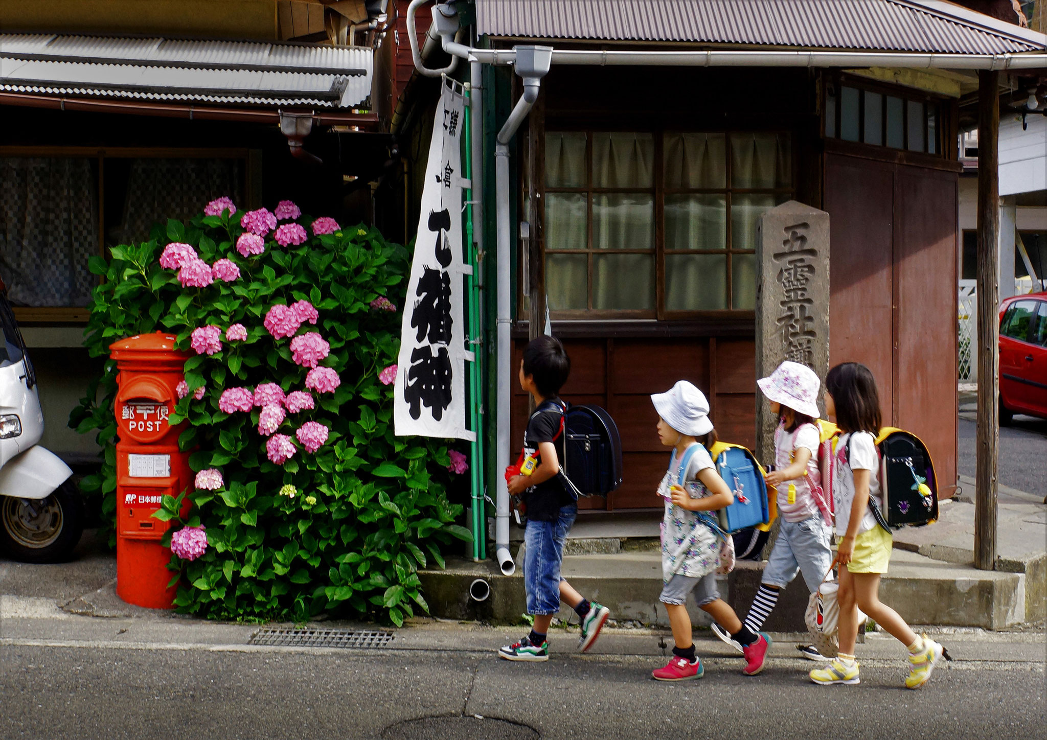 Nobuo Watanabe (JP) - Traseul școlar cu hortensie -  Hydrangea school route - アジサイの通学路
