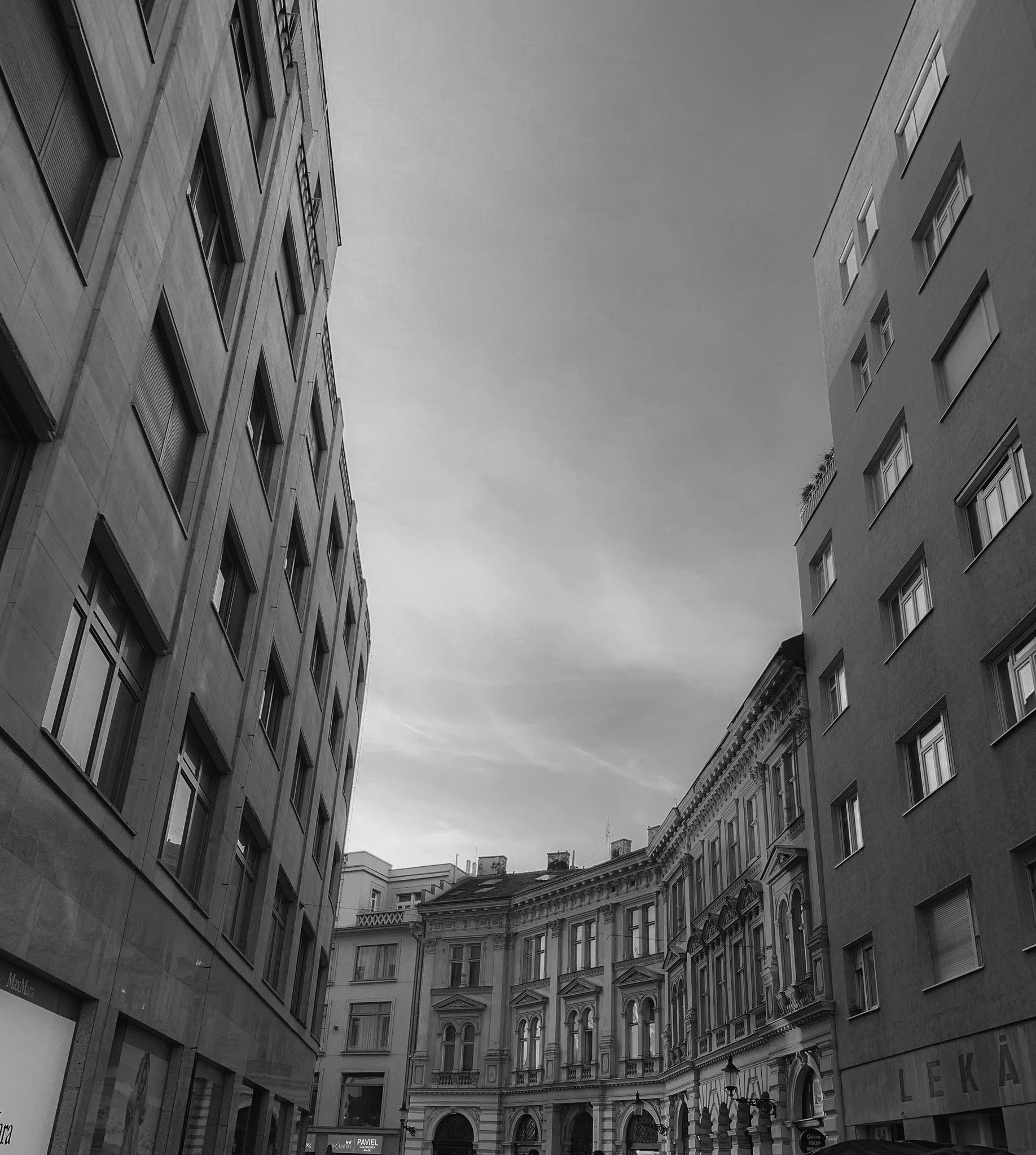 Molnár Réka (SRB)