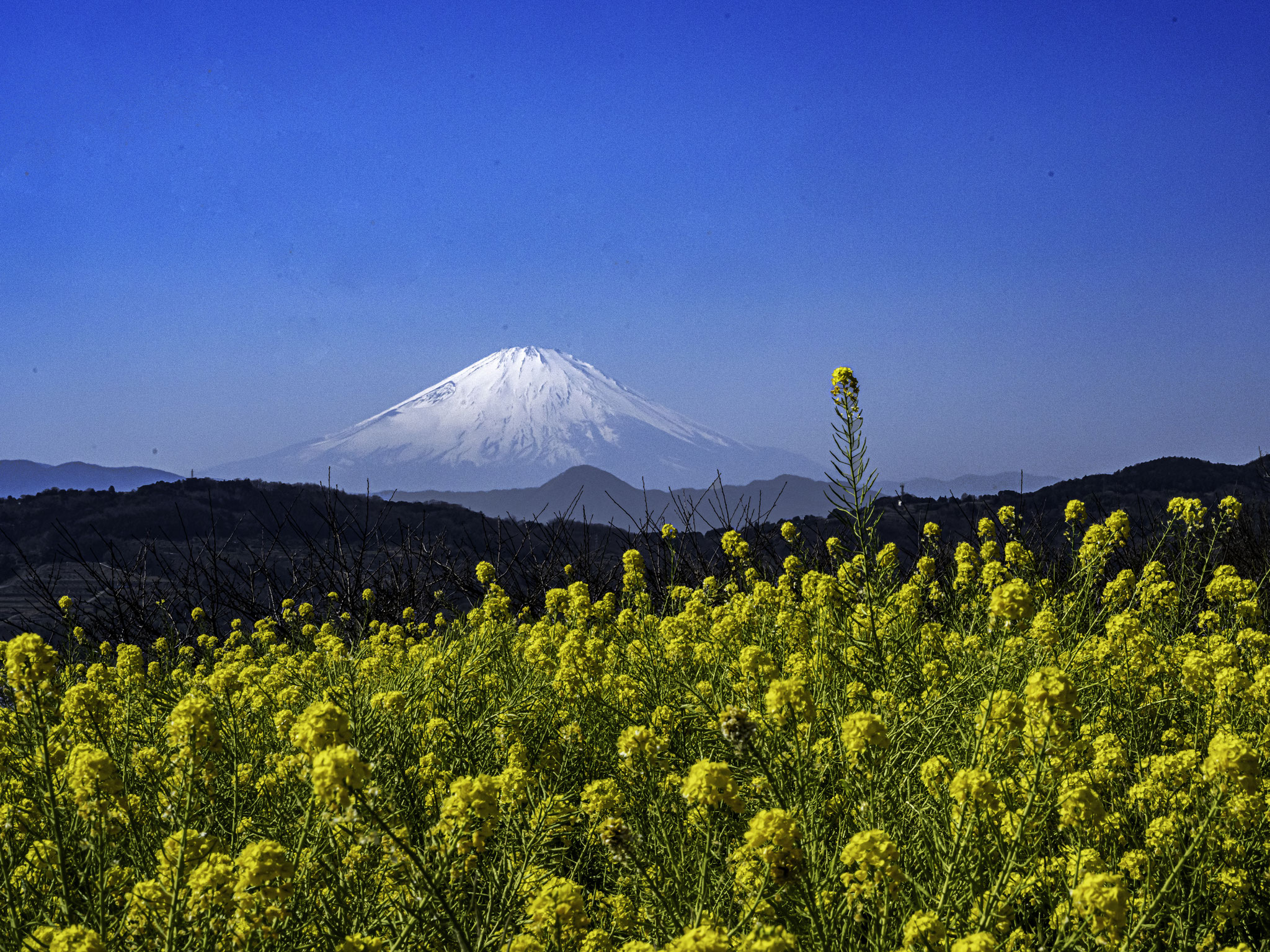 Koizumi Masaaki (Japan) - Spring in a mountain village
