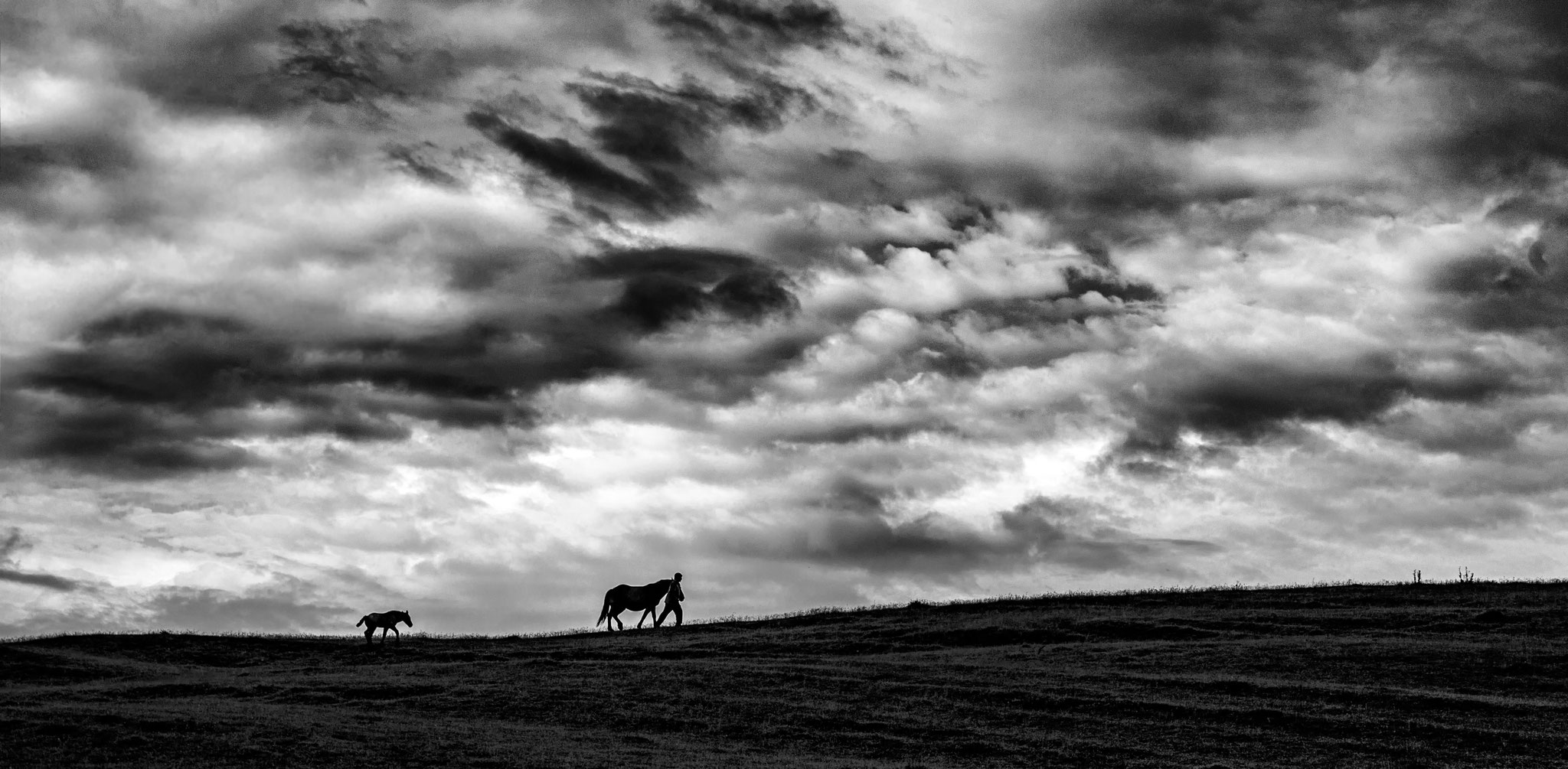 Ioan Ciobotariu (Romania) - Solitude