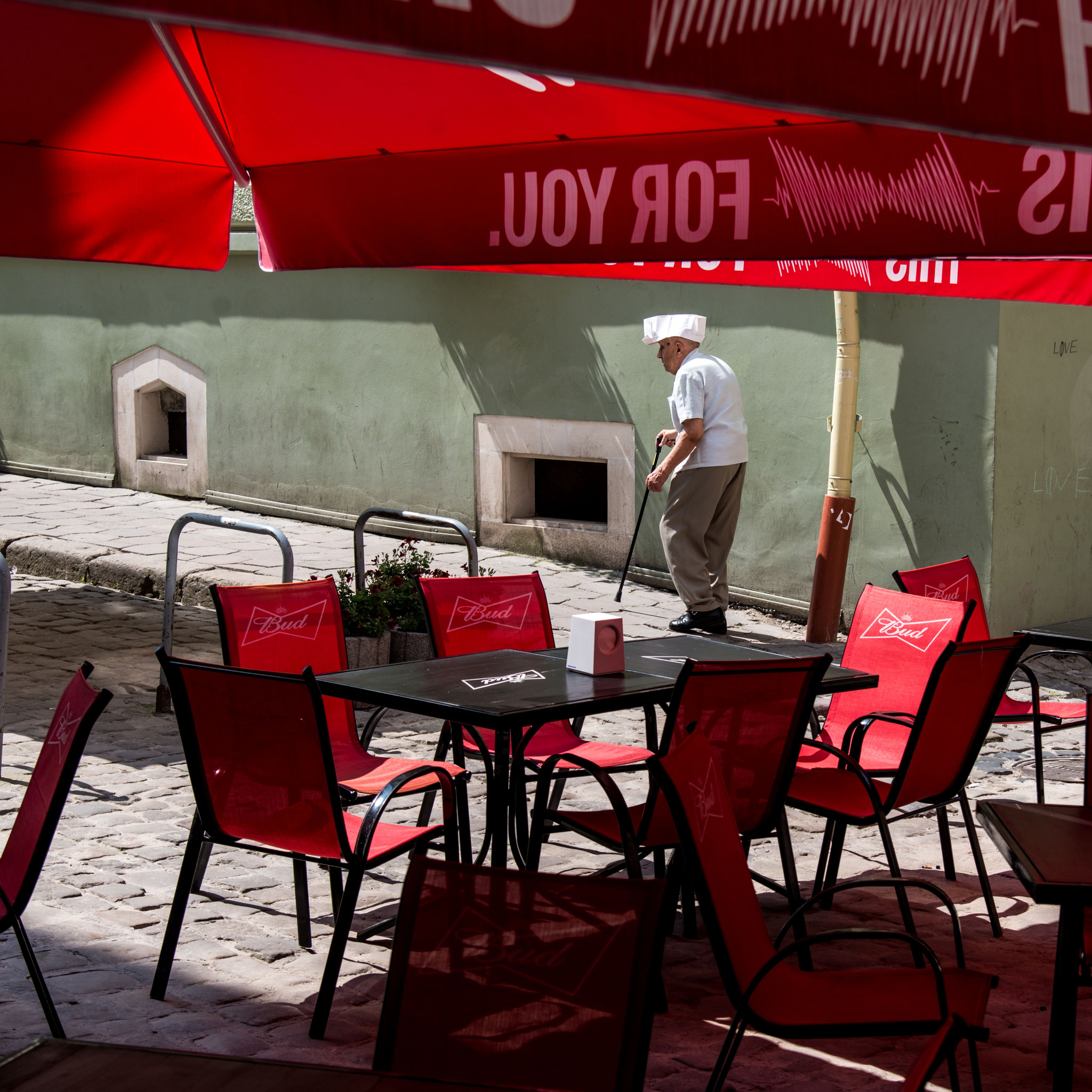 Petryna Dmytro - Ivano Frankivsk